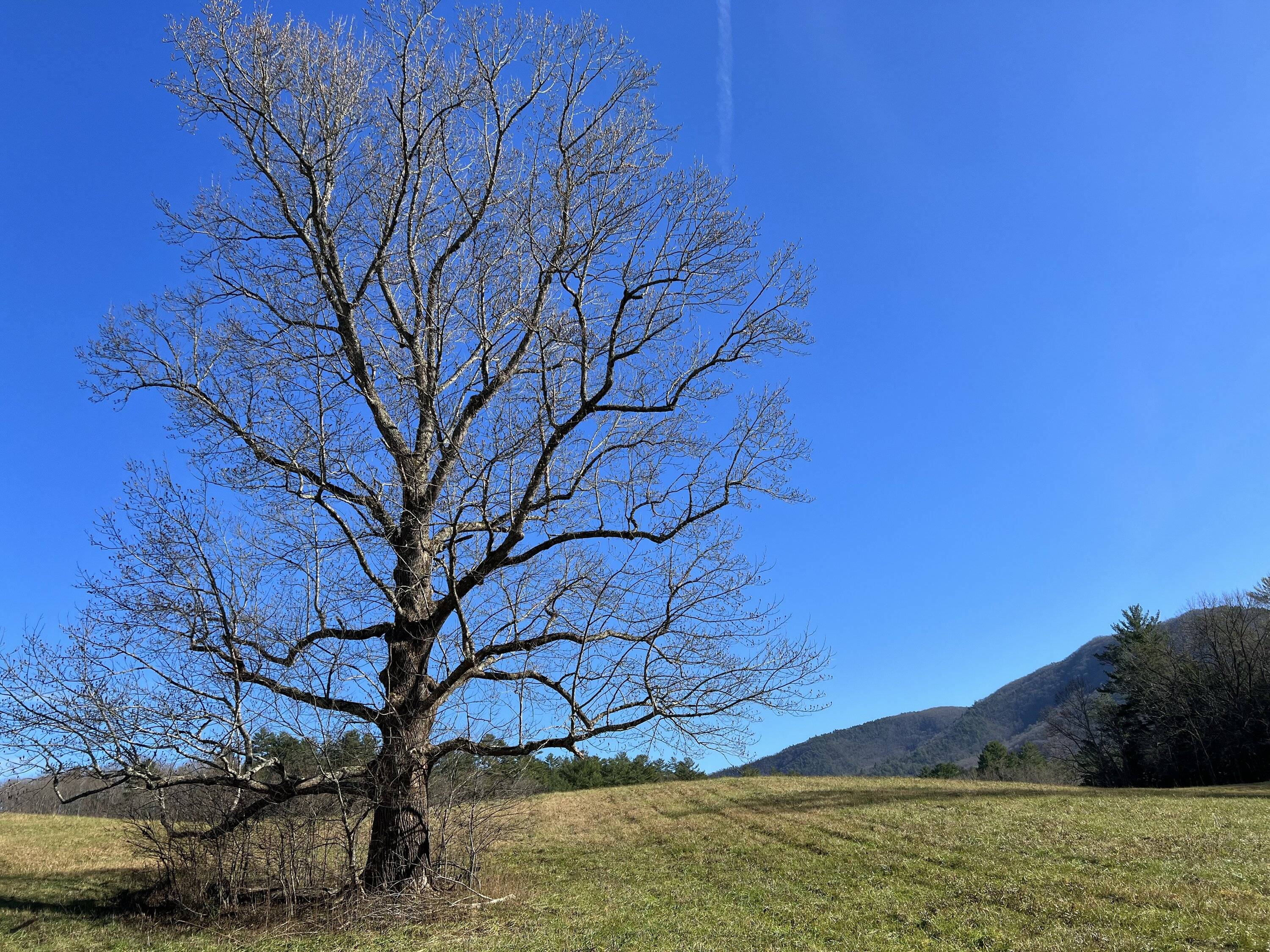 Ford Bronco Sport First Trip to the Great Smoky Mountains. IMG_5193