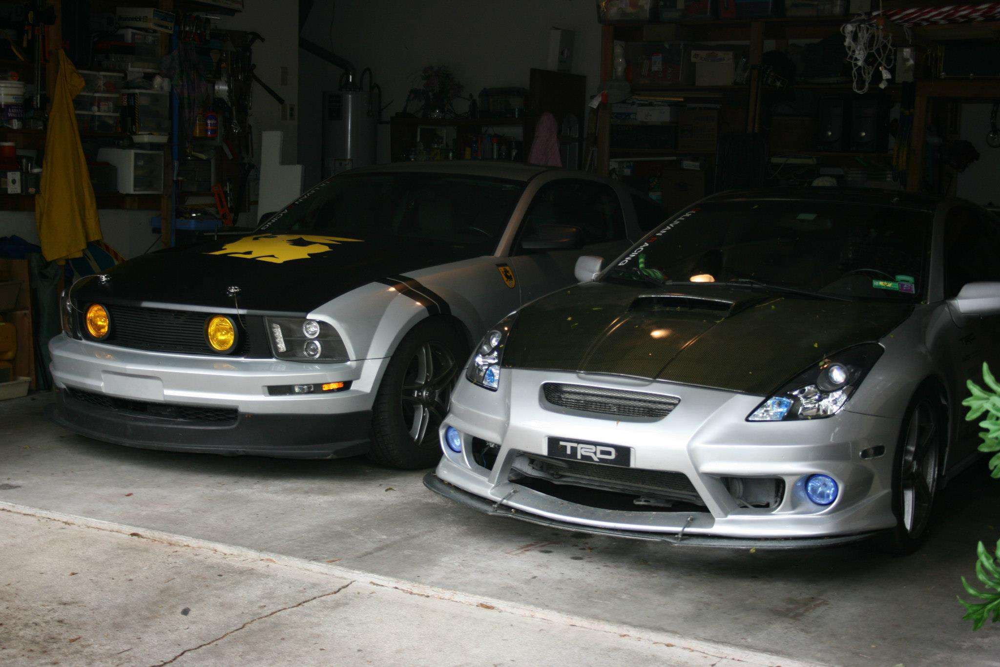 Ford Bronco Sport What did you own before your Bronco Sport? 1000004426