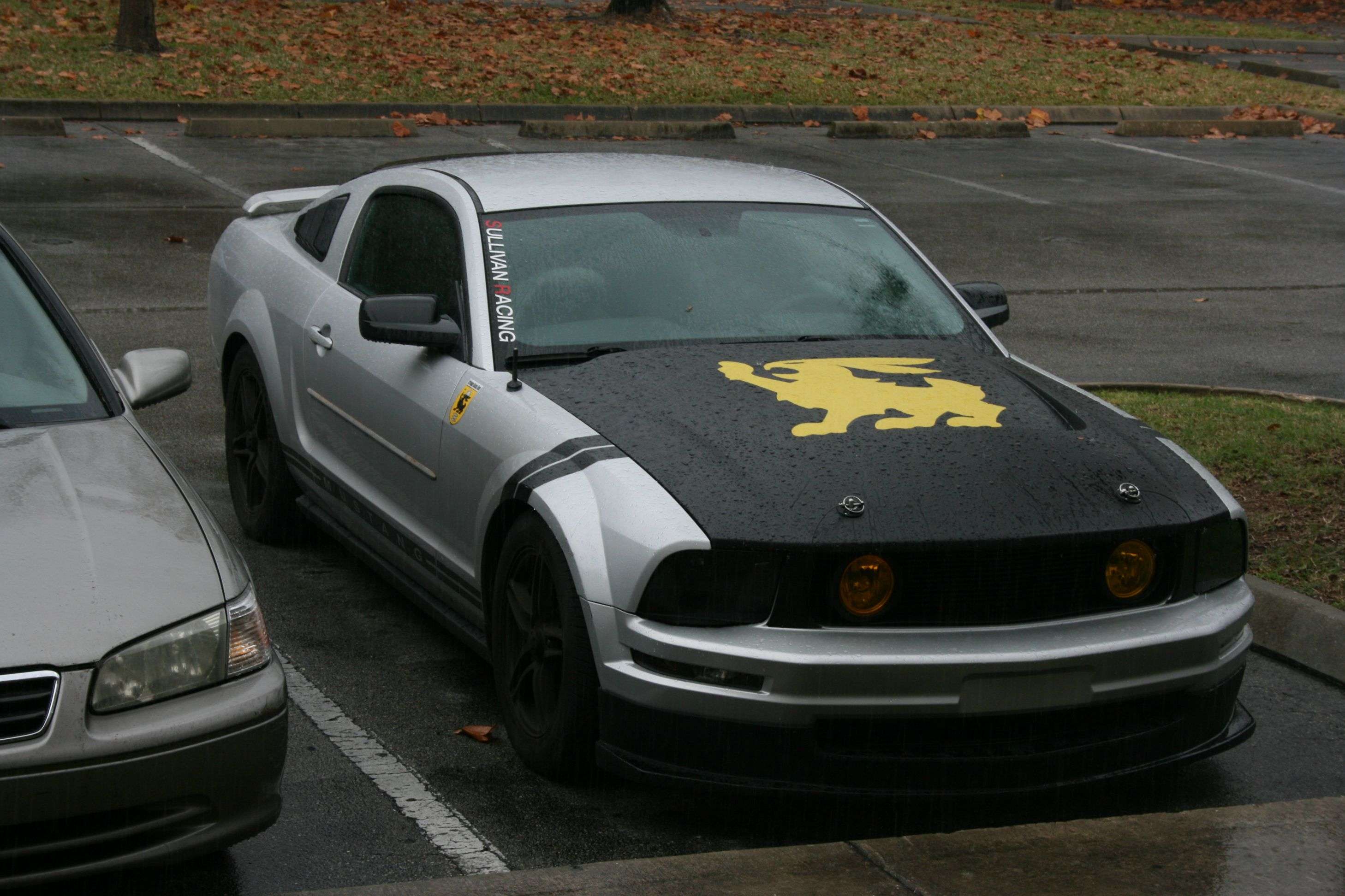 Ford Bronco Sport What did you own before your Bronco Sport? 1000004427