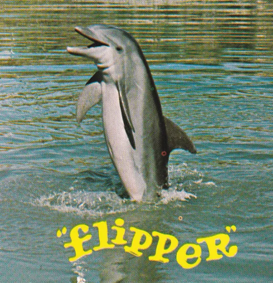 Ford Bronco Sport Name our new baby Bronco 1701651152030