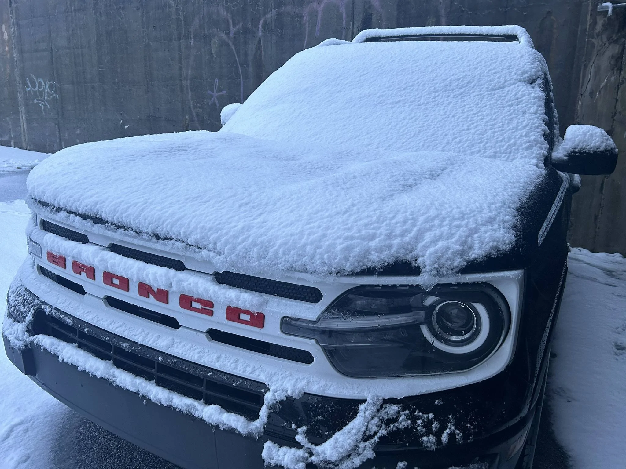 Ford Bronco Sport The Good Idea Fairy strikes again... First Sho