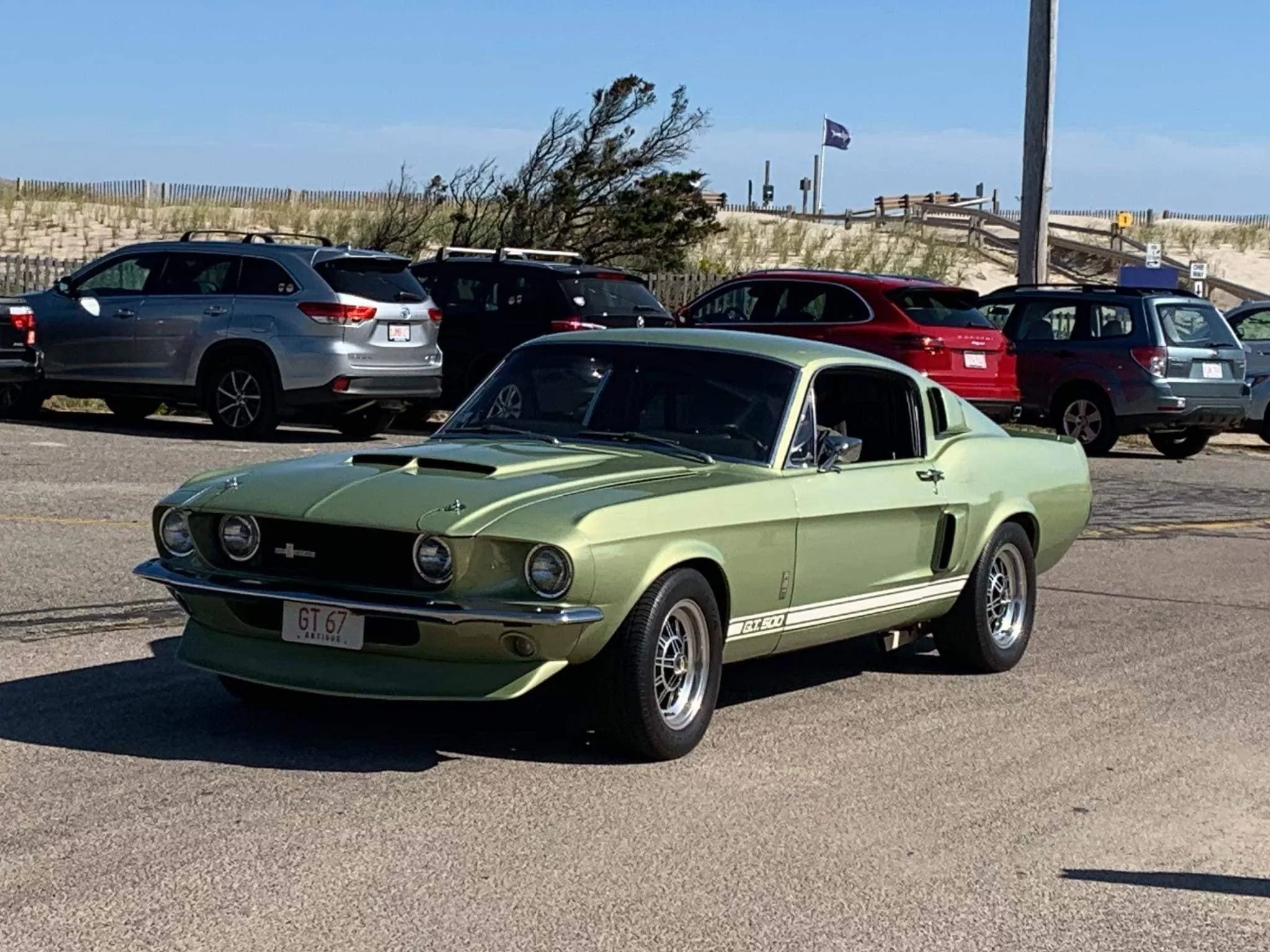 Ford Bronco Sport What was your favorite vehicle? IMG_0697