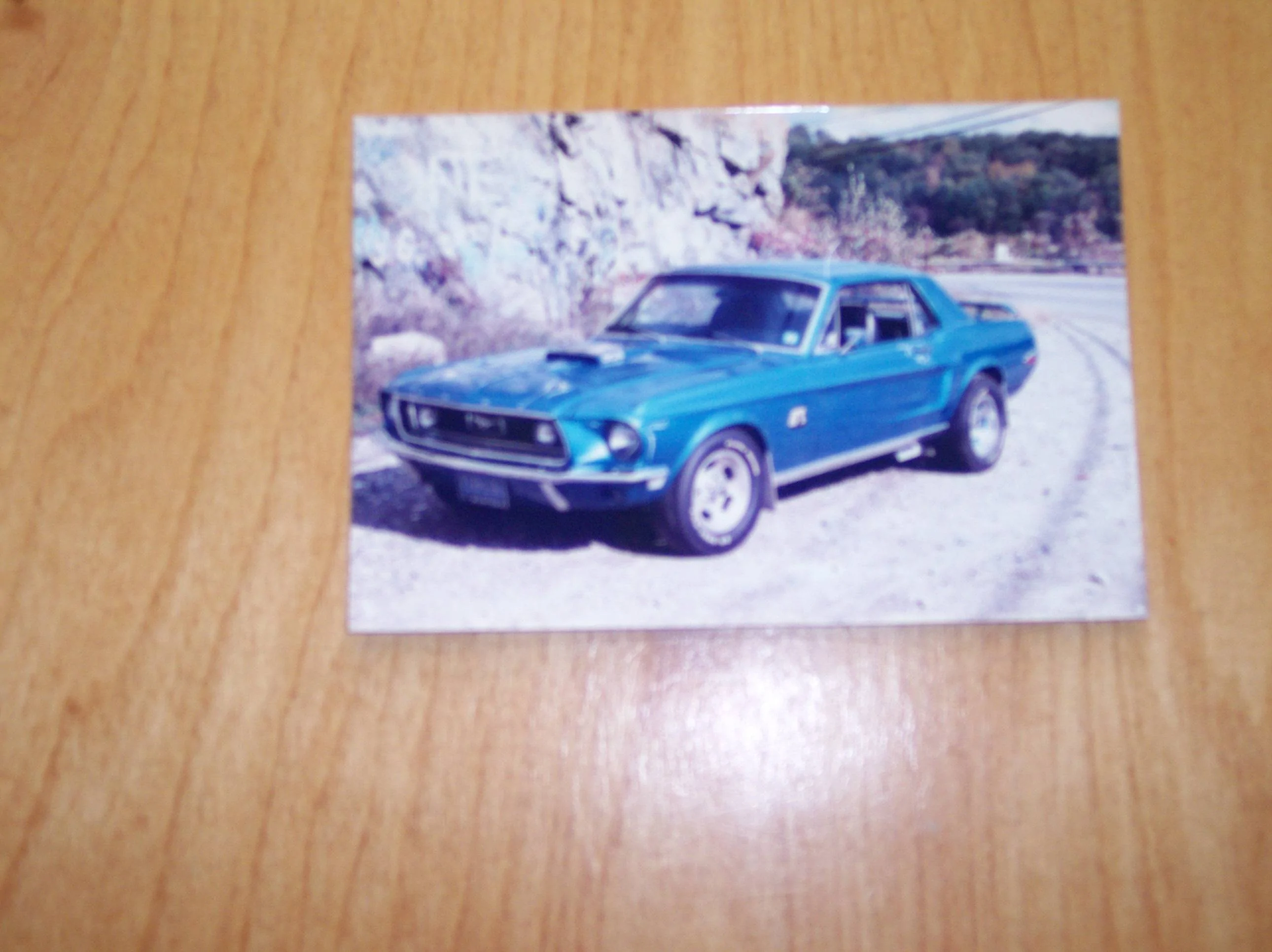 Ford Bronco Sport What was your favorite vehicle? 100_0492
