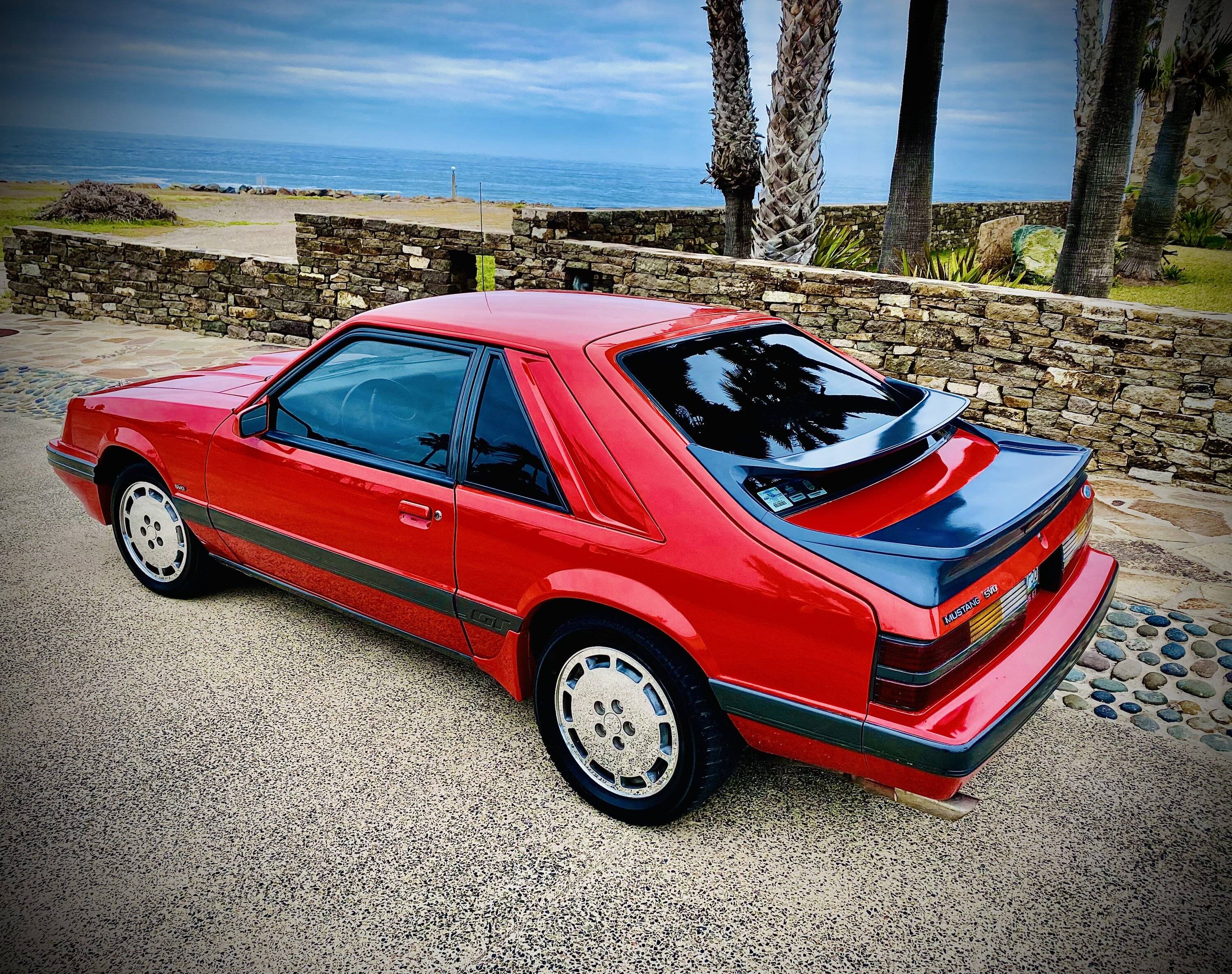 Ford Bronco Sport What was your favorite vehicle? IMG_9883