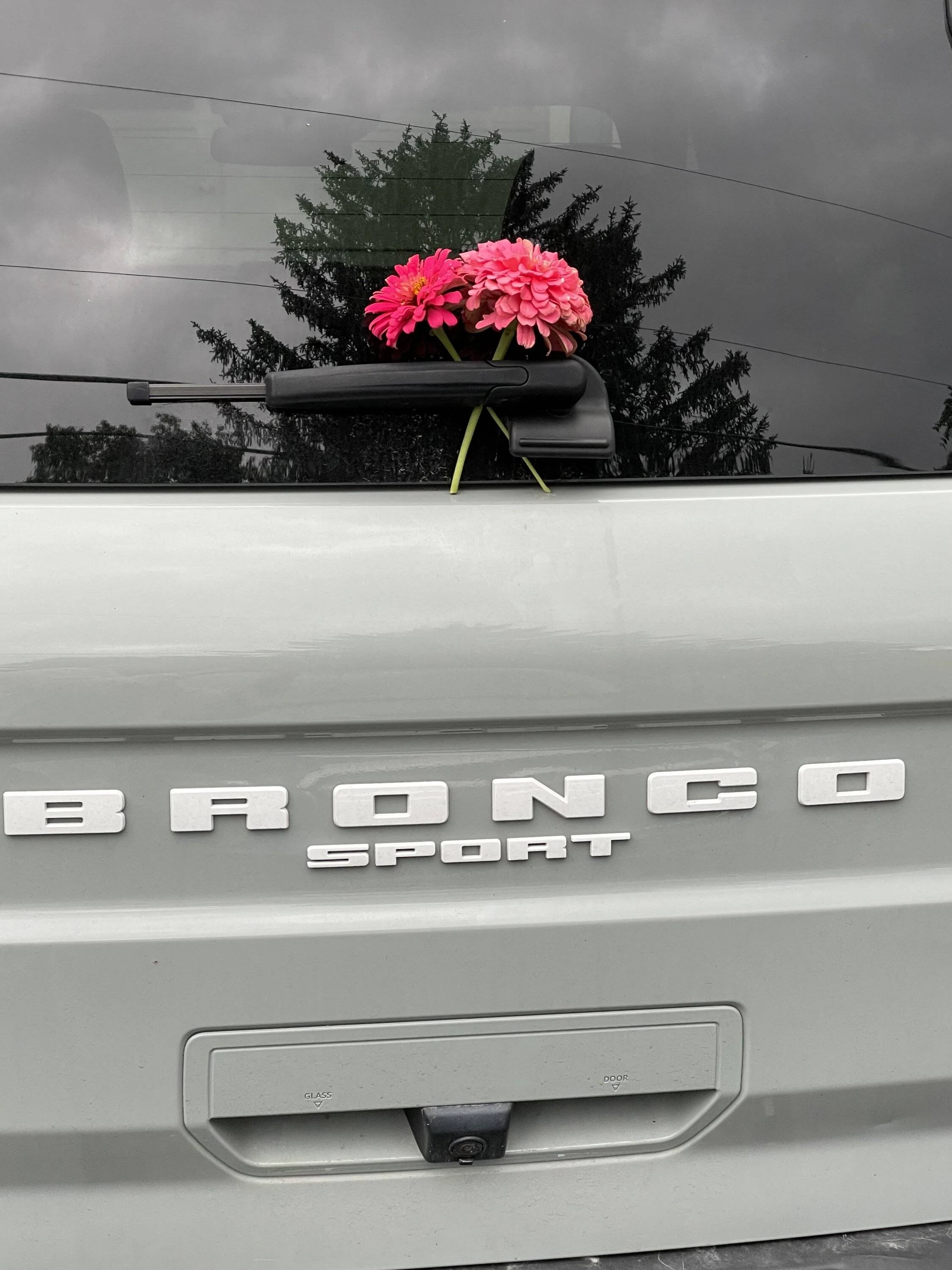 Ford Bronco Sport Not long for this world BabyBronco