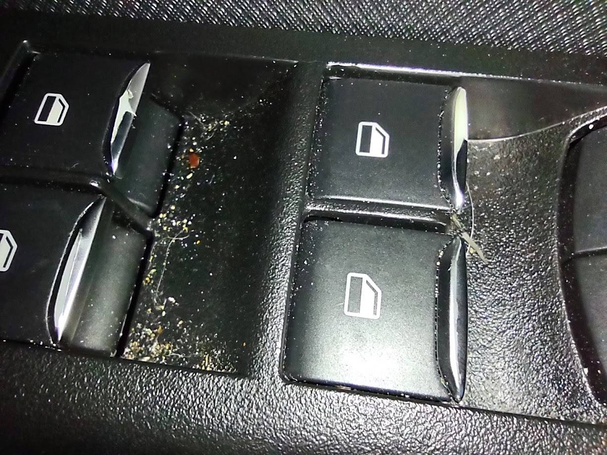 Ford Bronco Sport Anyone else have their window control buttons break? IMG_20231211_120335528