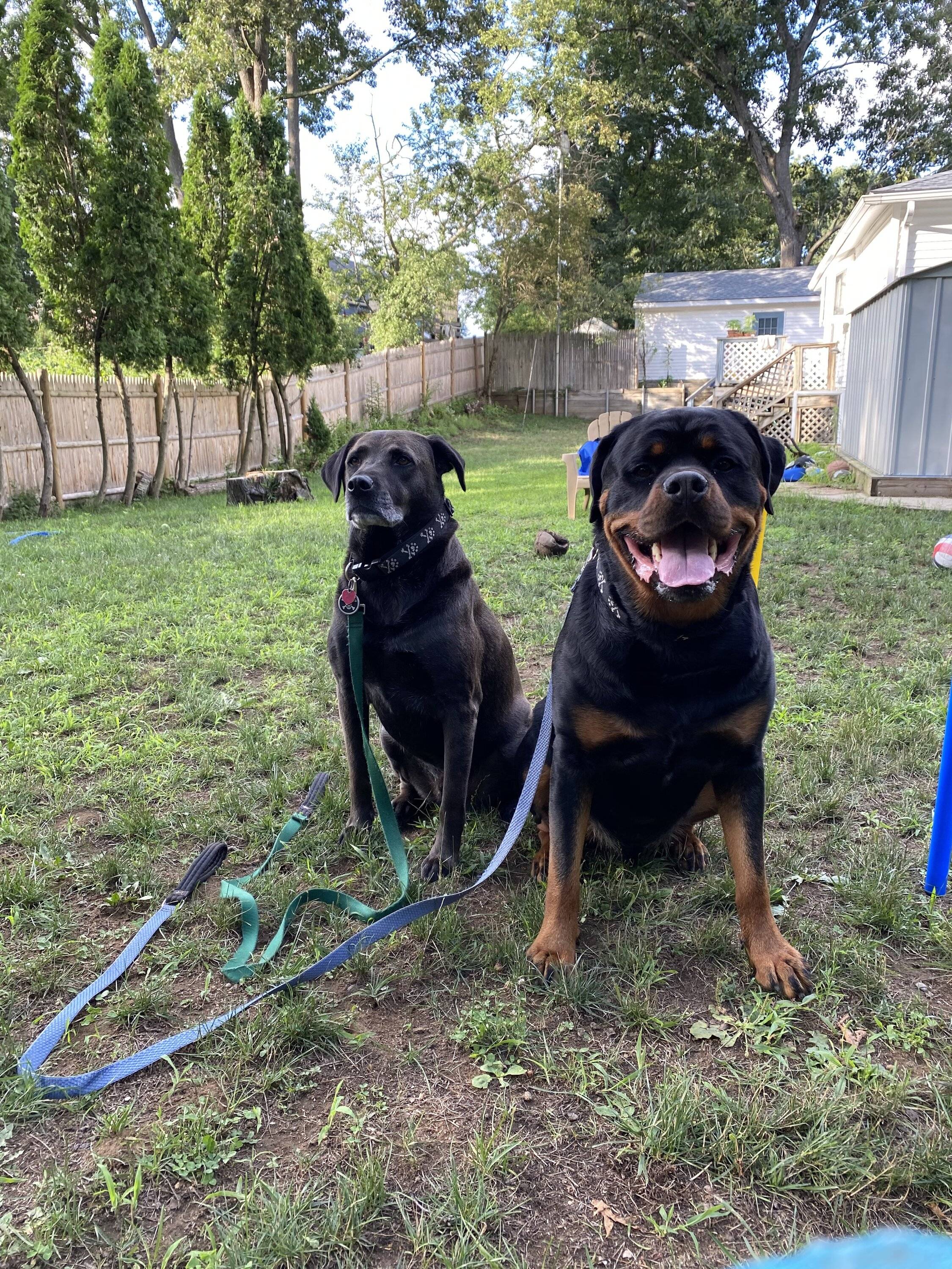 Ford Bronco Sport Altruistic Neighbors IMG_6602