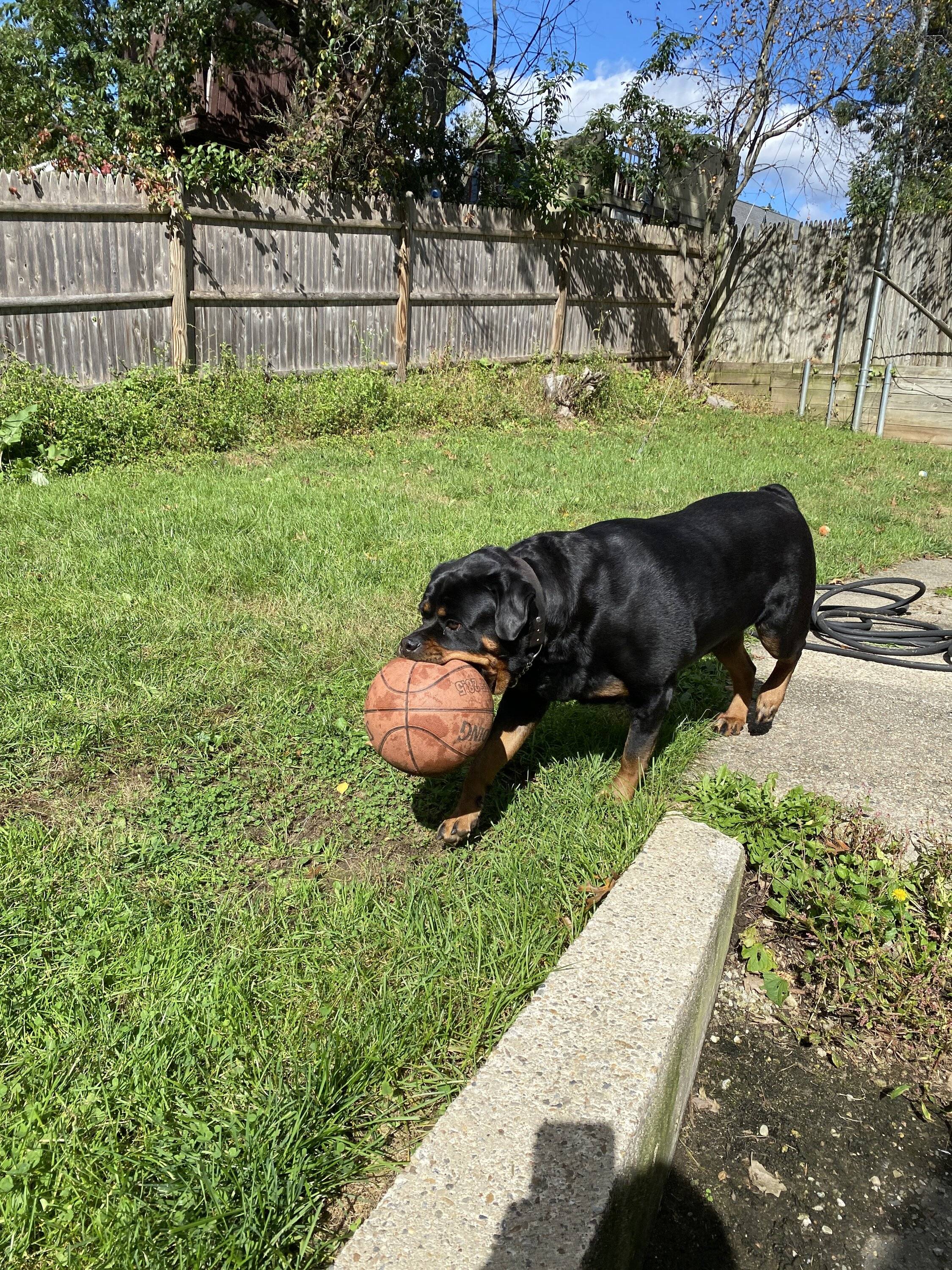 Ford Bronco Sport Altruistic Neighbors IMG_0821.JPG