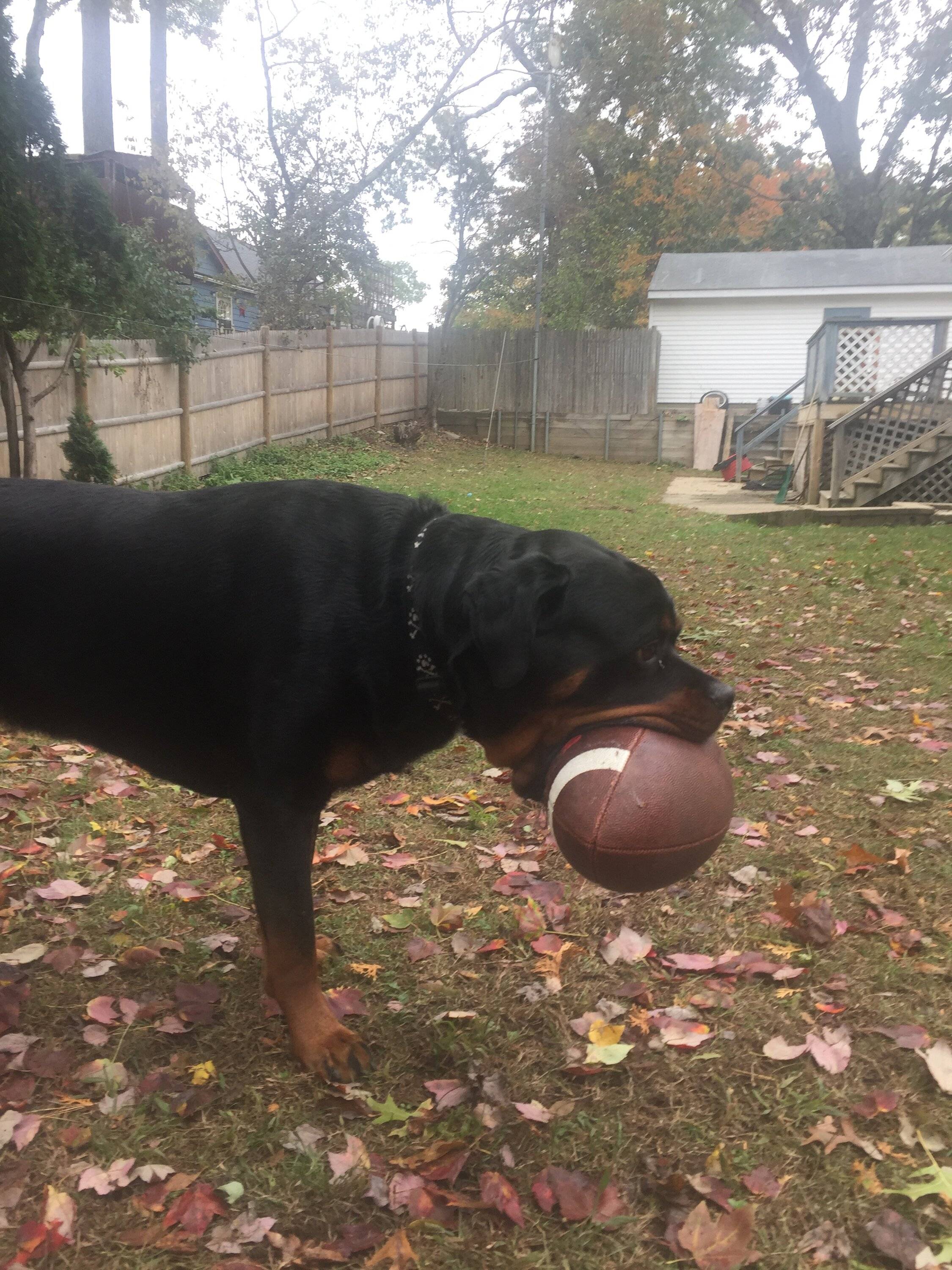 Ford Bronco Sport Altruistic Neighbors IMG_5483