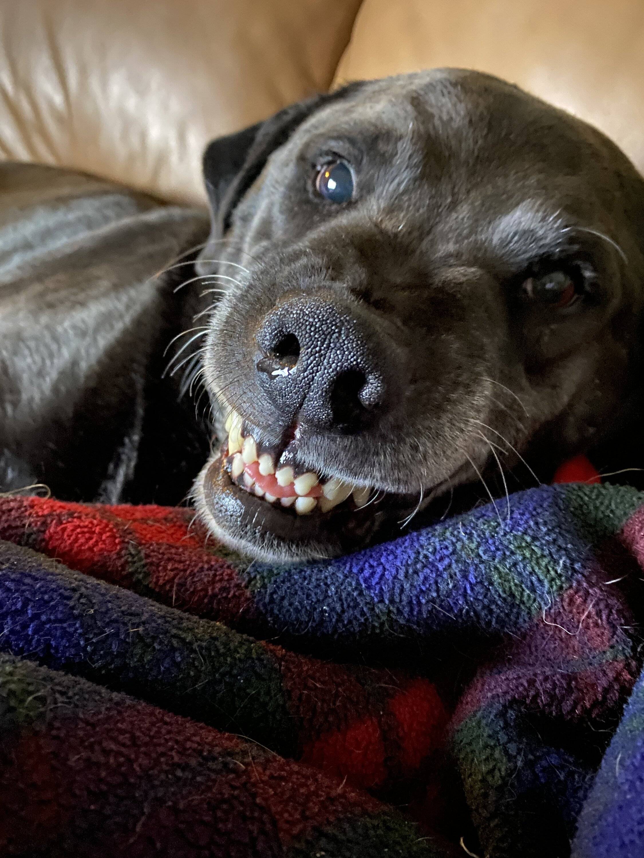 Ford Bronco Sport Altruistic Neighbors 19663BE4-AAB2-4240-AC23-E34F81A0848A