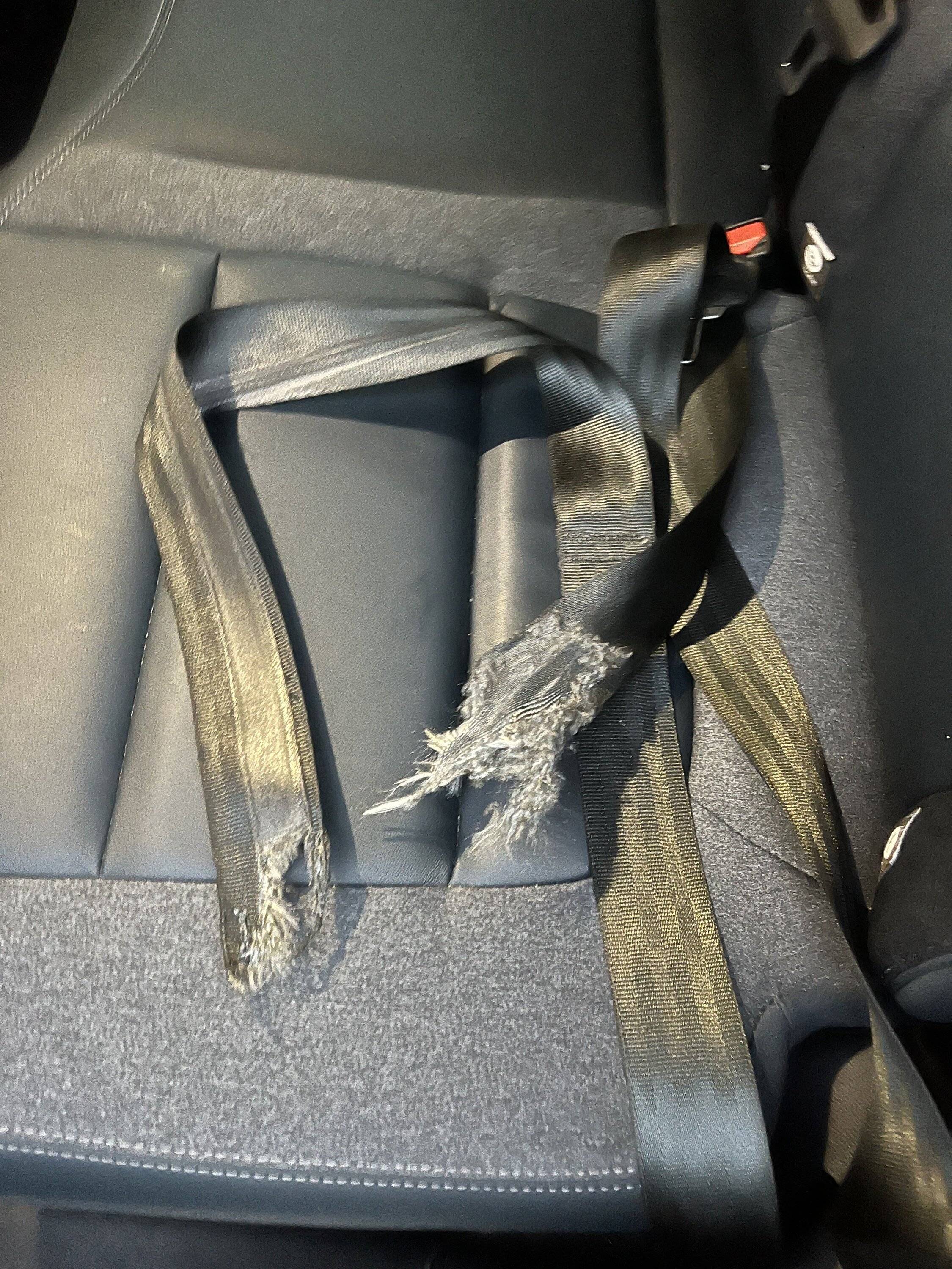 Ford Bronco Sport Seatbelt manufacturing defect and ridiculously slow response from Ford service IMG_6582