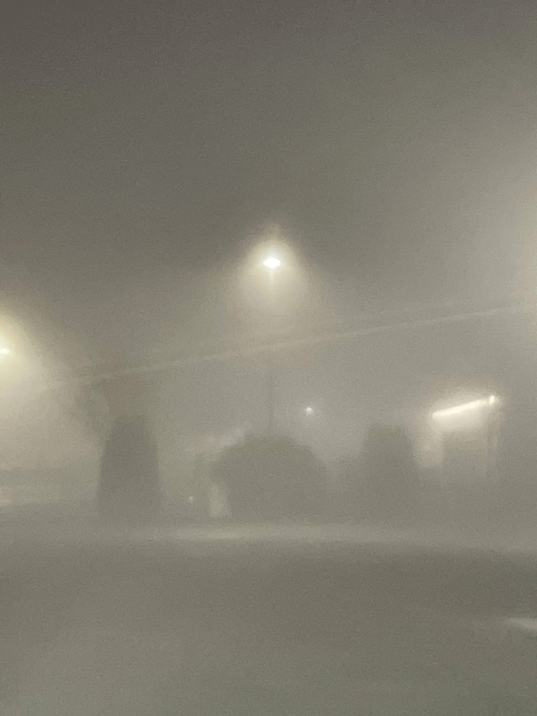 Ford Bronco Sport Fog affects precollision assist/front camera IMG_3293