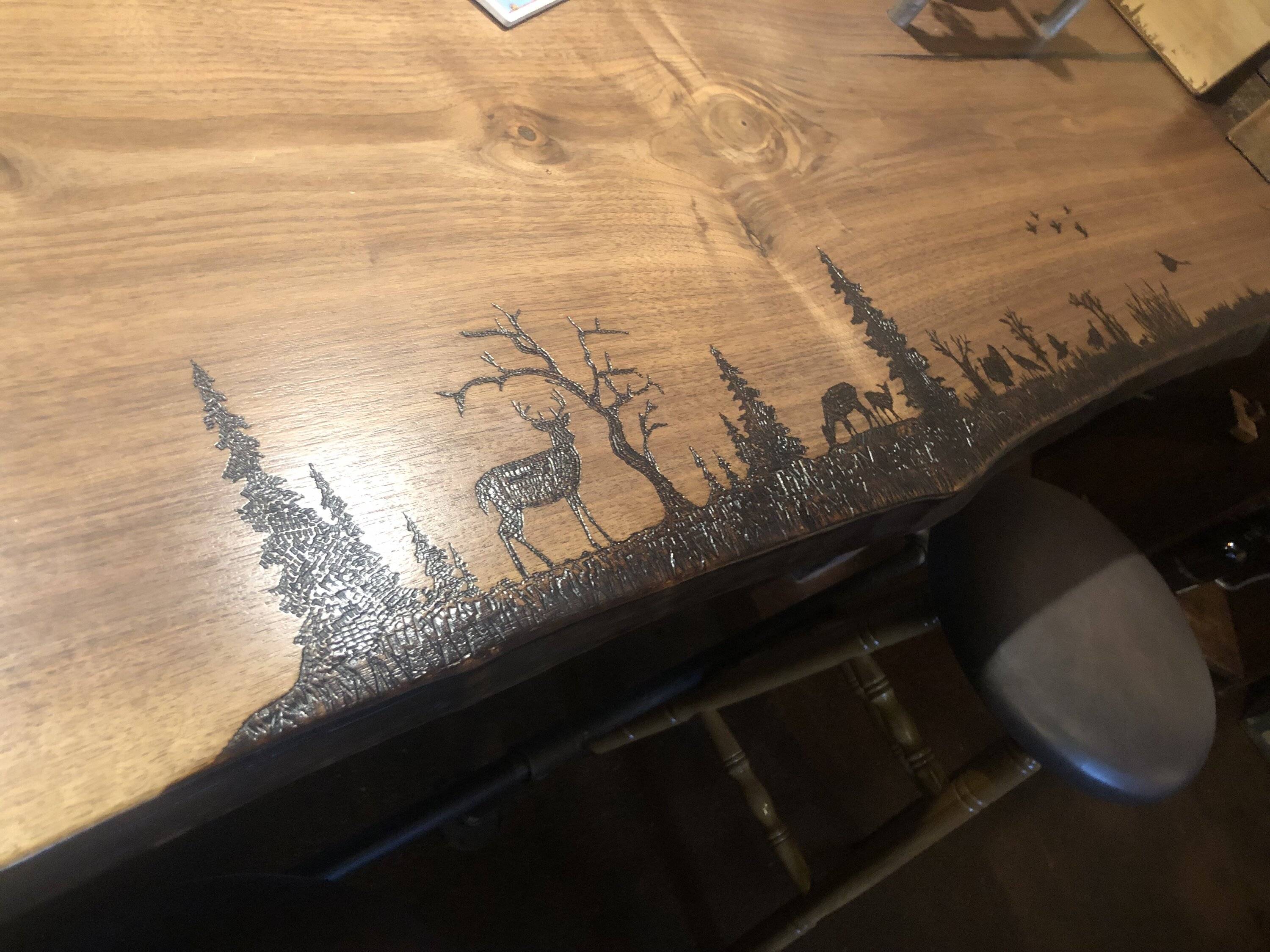 Ford Bronco Sport Shout out to Underground Graphics IMG_5010