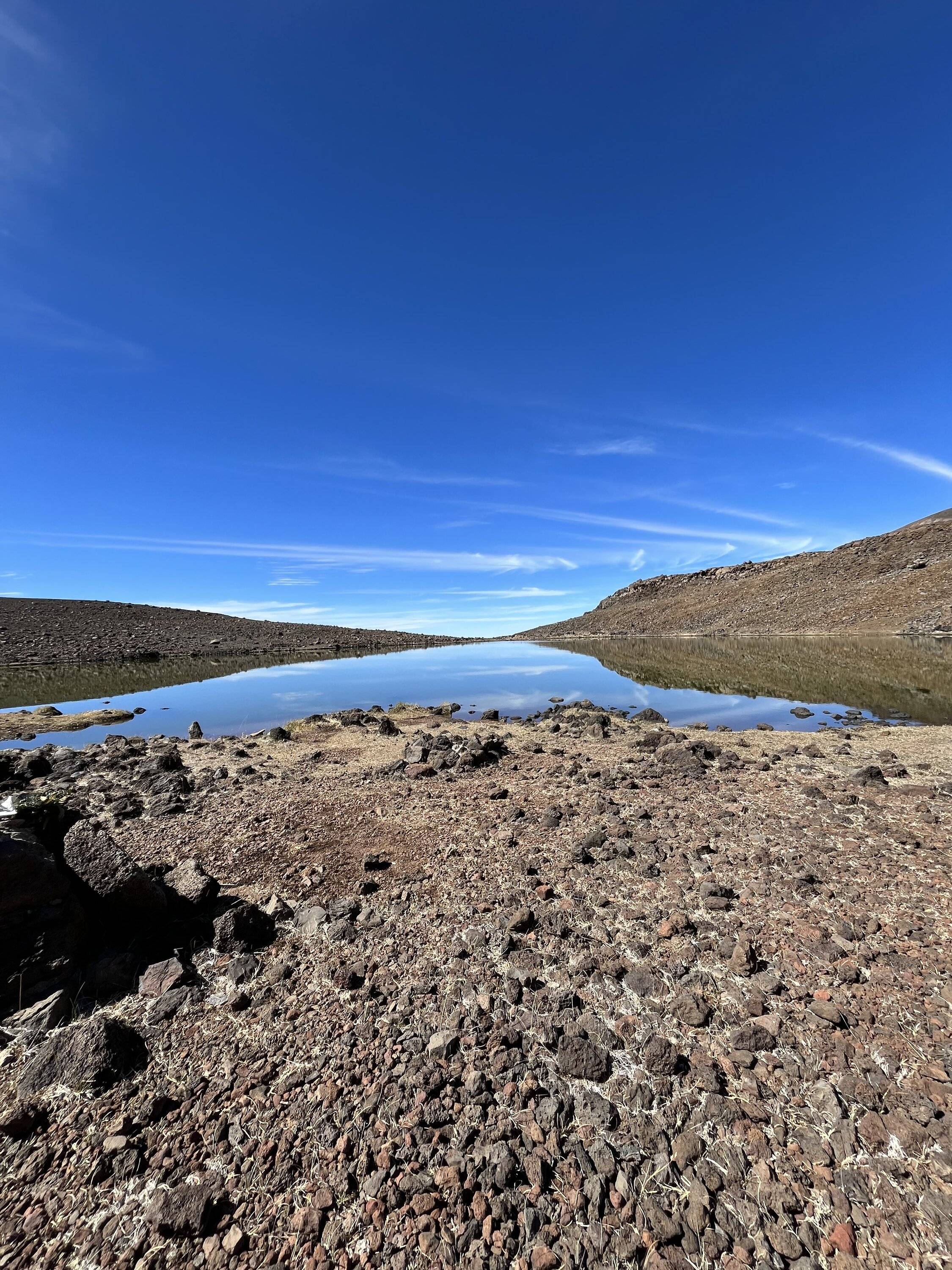 Ford Bronco Sport Mele Kalikimaka from Hawaii Island IMG_0371