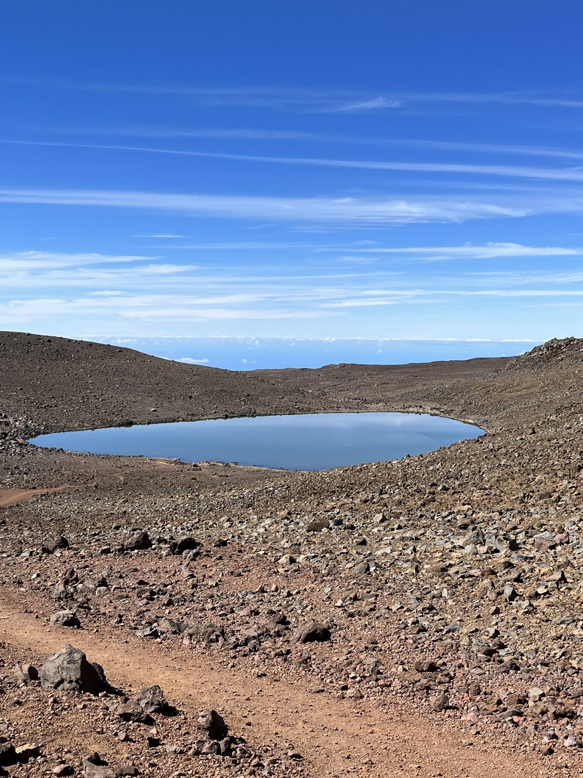 Ford Bronco Sport Mele Kalikimaka from Hawaii Island IMG_0360