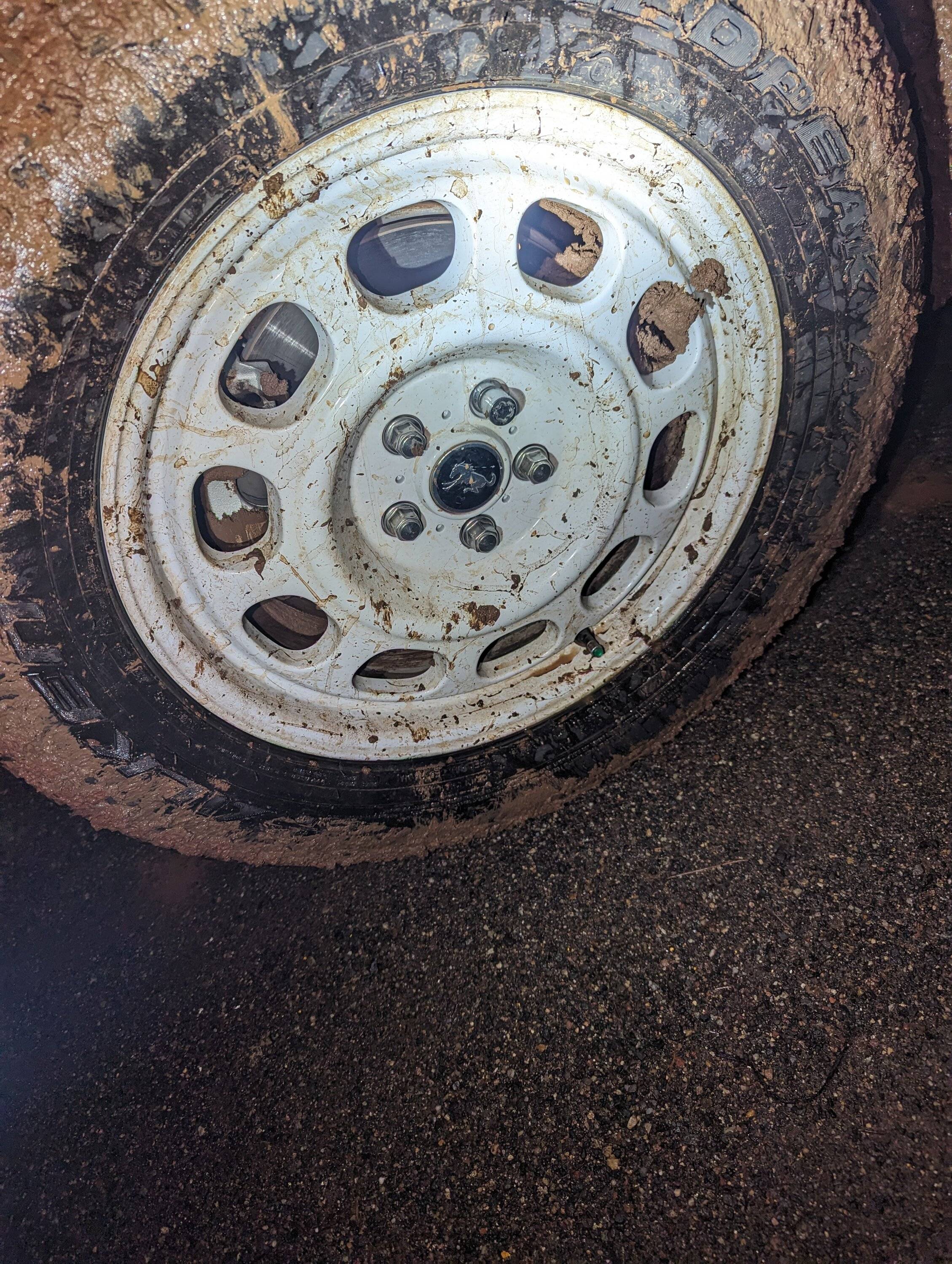 Ford Bronco Sport Mud throwing off wheel balance 1000001634