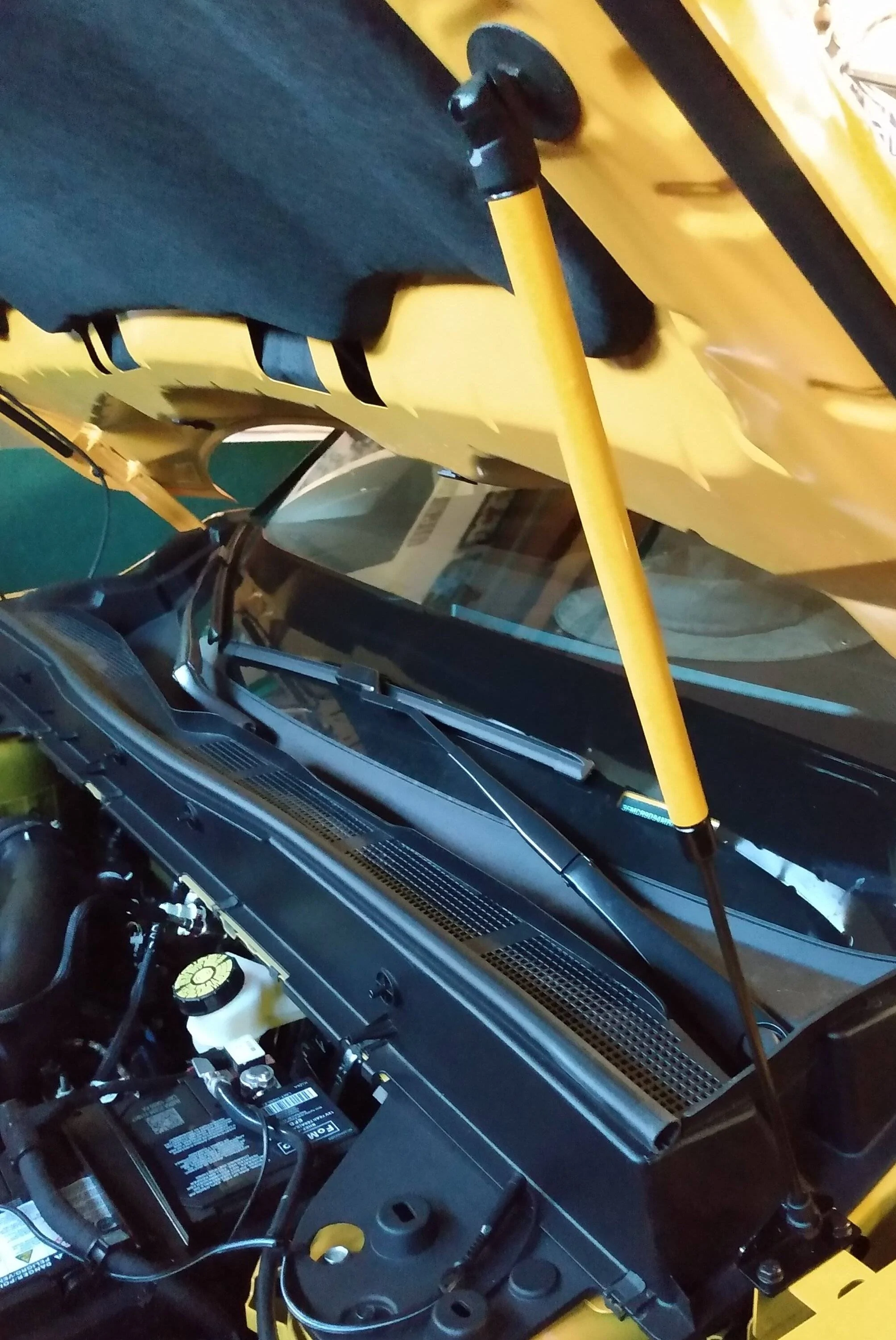 Ford Bronco Sport Redline Hood Strut - Stickers? IMG_20210614_203151779