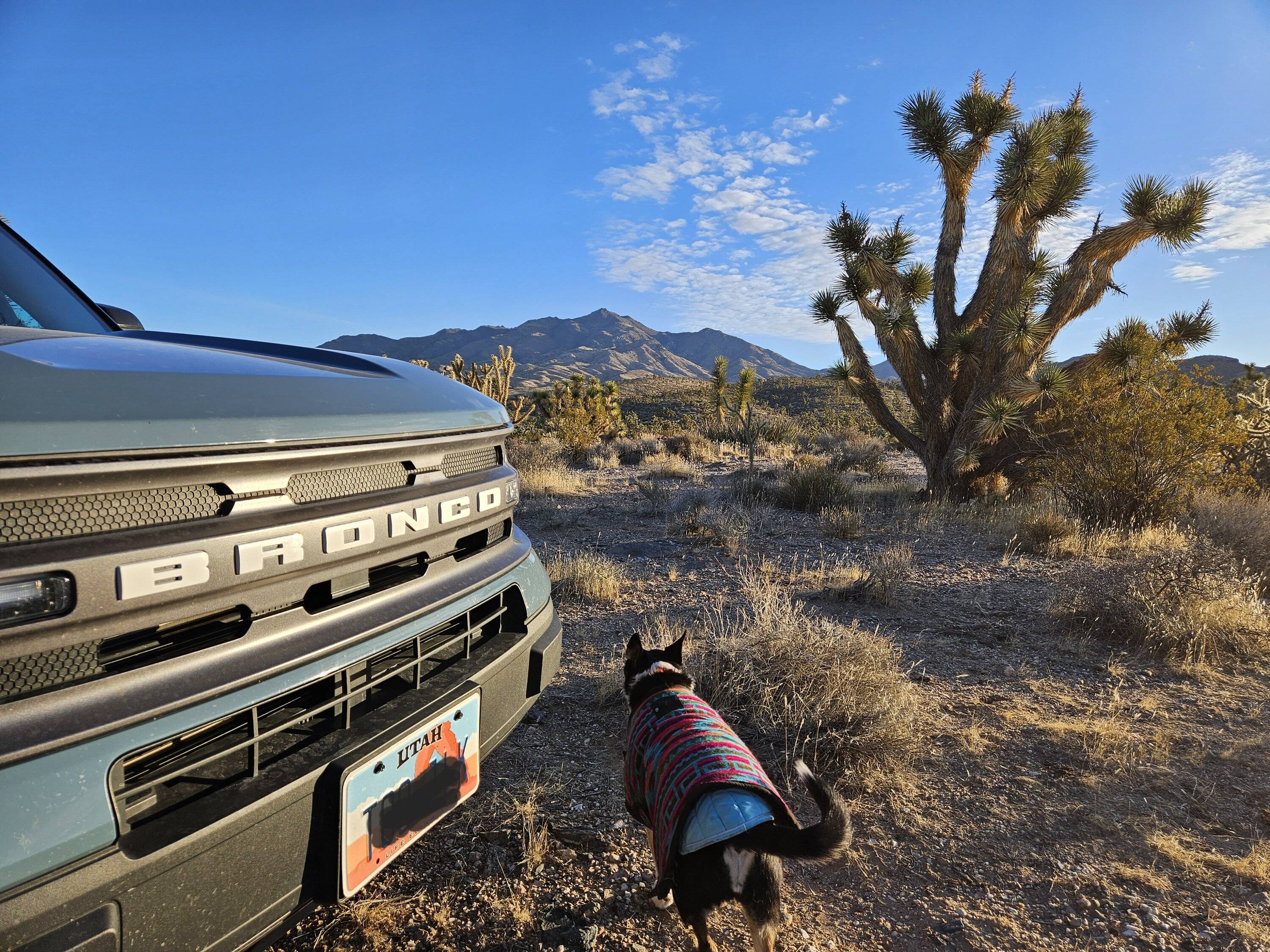 Ford Bronco Sport Just wanted to wish you all Happy New Year from Japan 20240101_073618