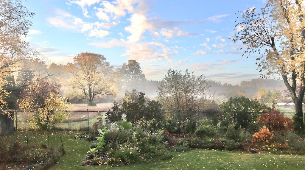 Ford Bronco Sport Not long for this world back garden fall morning copy