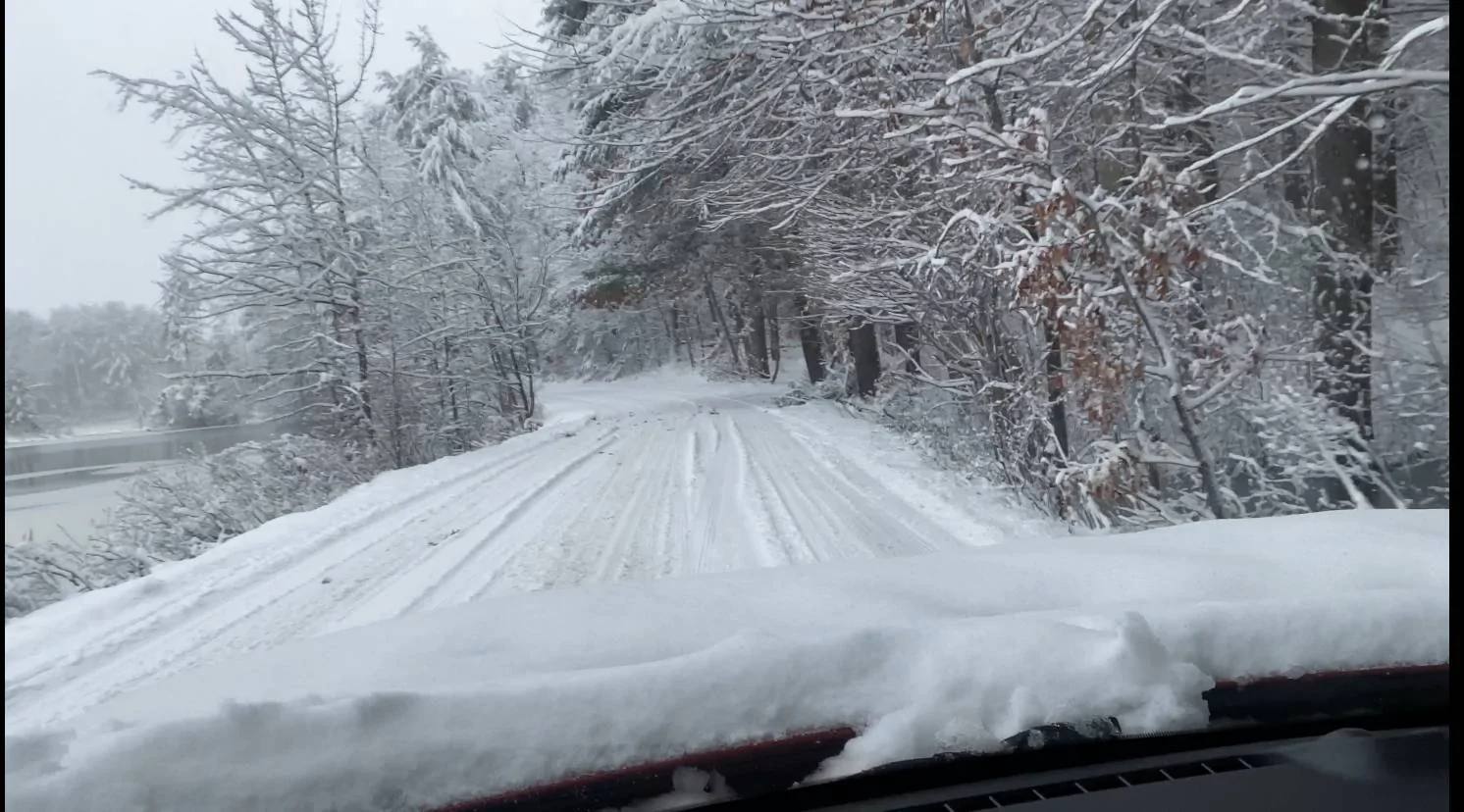 Ford Bronco Sport ❄️ My dear Bronco Sport's first snowfall! Share yours IMG_C4A54339184F-1