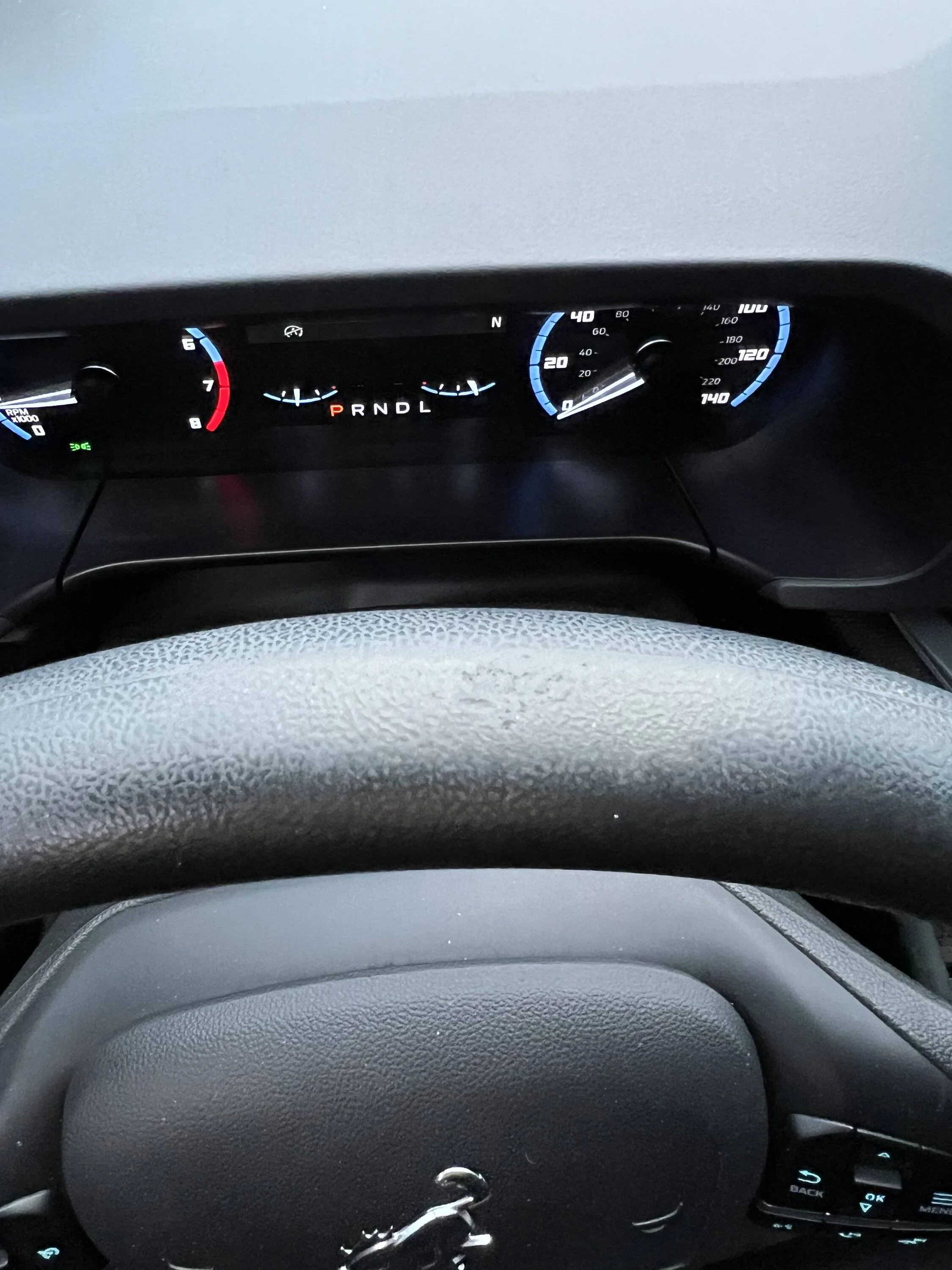 Ford Bronco Sport Steering wheel wear IMG_4590