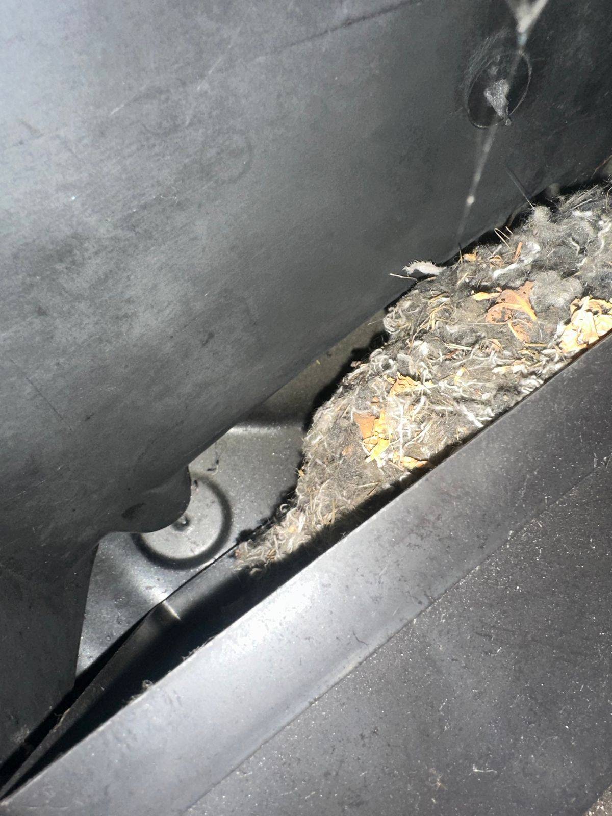 Ford Bronco Sport Oil & filter change intervals / frequency IMG_1051