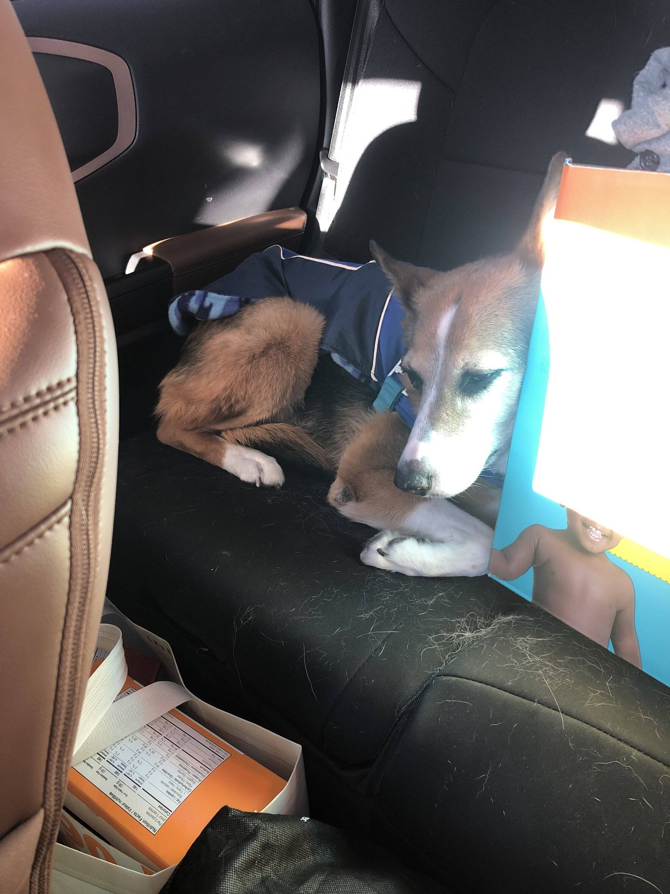 Ford Bronco Sport Rollin’ in my 2.0… IMG_7264