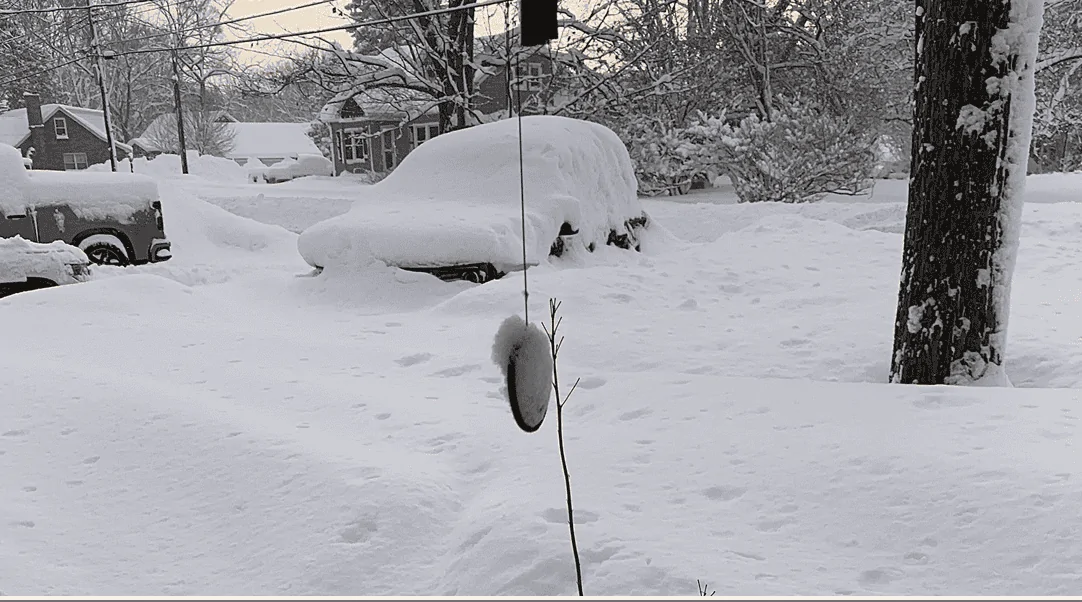 Ford Bronco Sport HAPPY 🐫 DAY !!! Let's see those flexin'/off-road photos 1705332222373