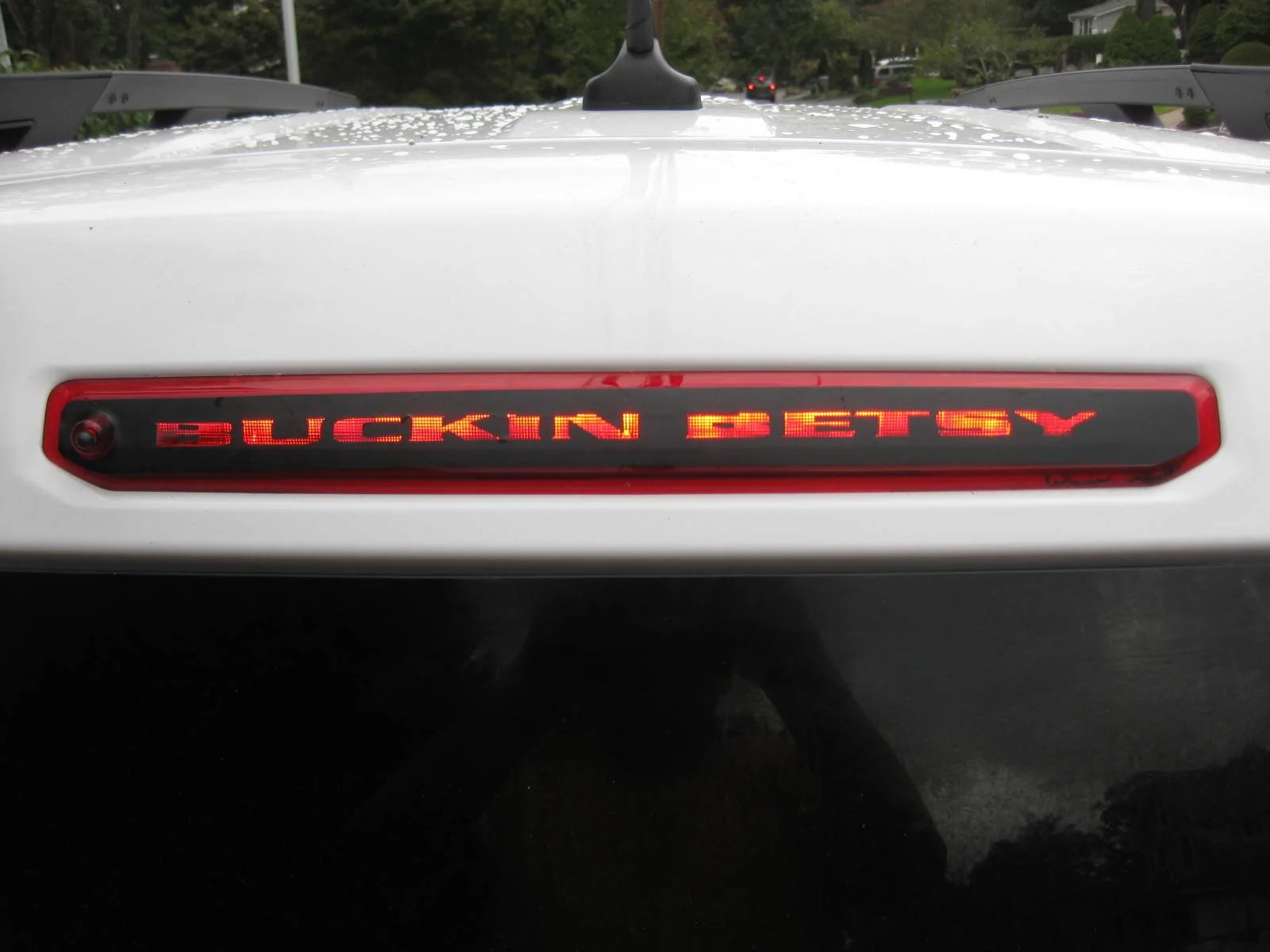 Ford Bronco Sport It's Tushy Tuesday! Let's see those rear photos Buckin_Betsy_Brake_Light2