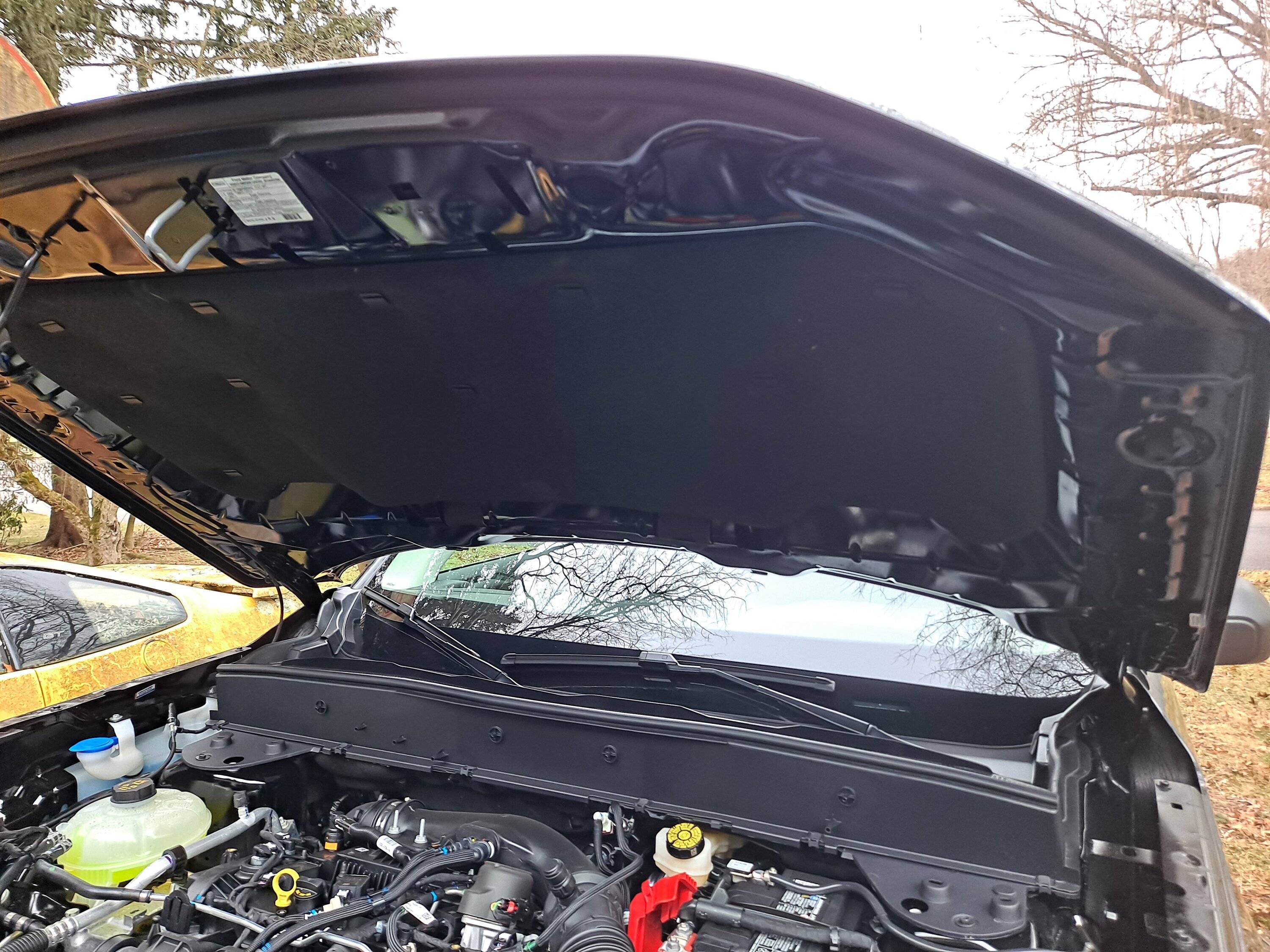 Ford Bronco Sport Engine tapping Bronco sport 1.5L ecoboost Hood Blanket 20240115_140321