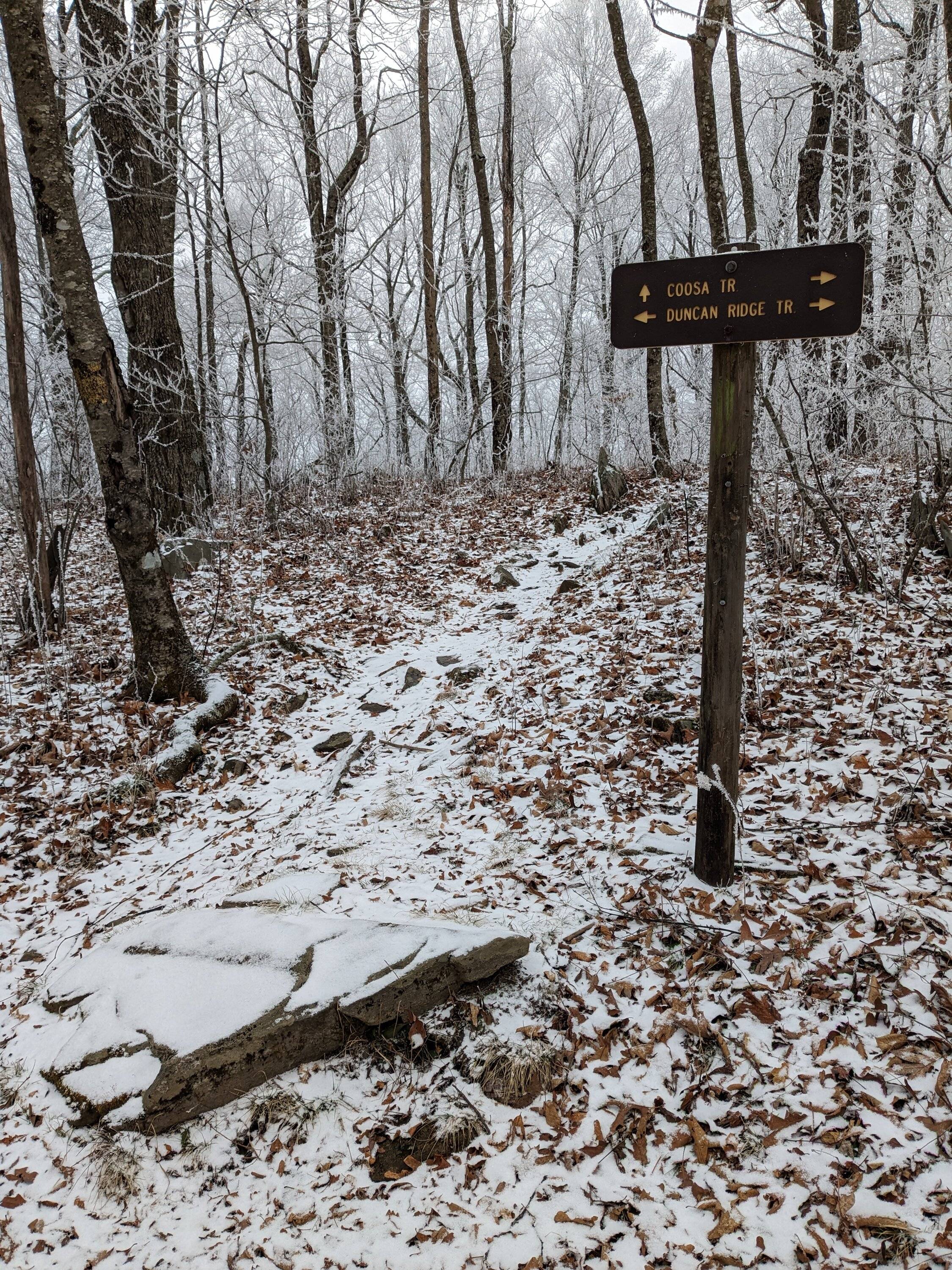 Ford Bronco Sport ❄️ My dear Bronco Sport's first snowfall! Share yours PXL_20231230_161903529