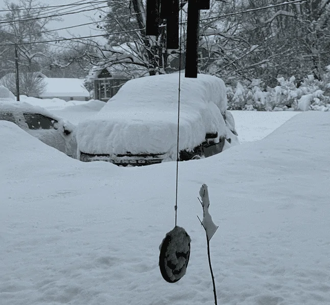 Ford Bronco Sport HAPPY 🐫 DAY !!! Let's see those flexin'/off-road photos 1705506142612