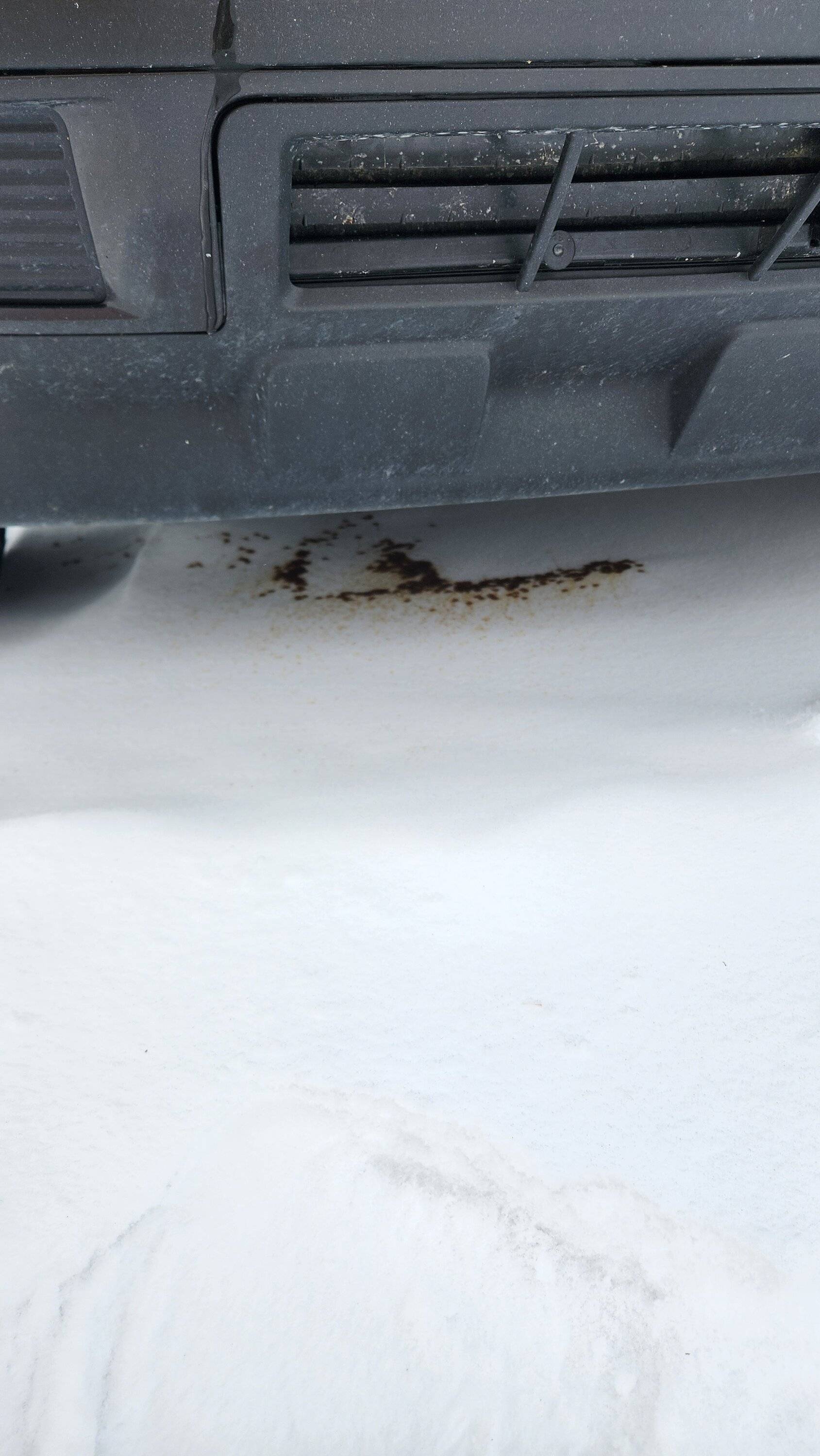 Ford Bronco Sport Crank Seal failure on a 2022 1.5L OBX 20240116_115229