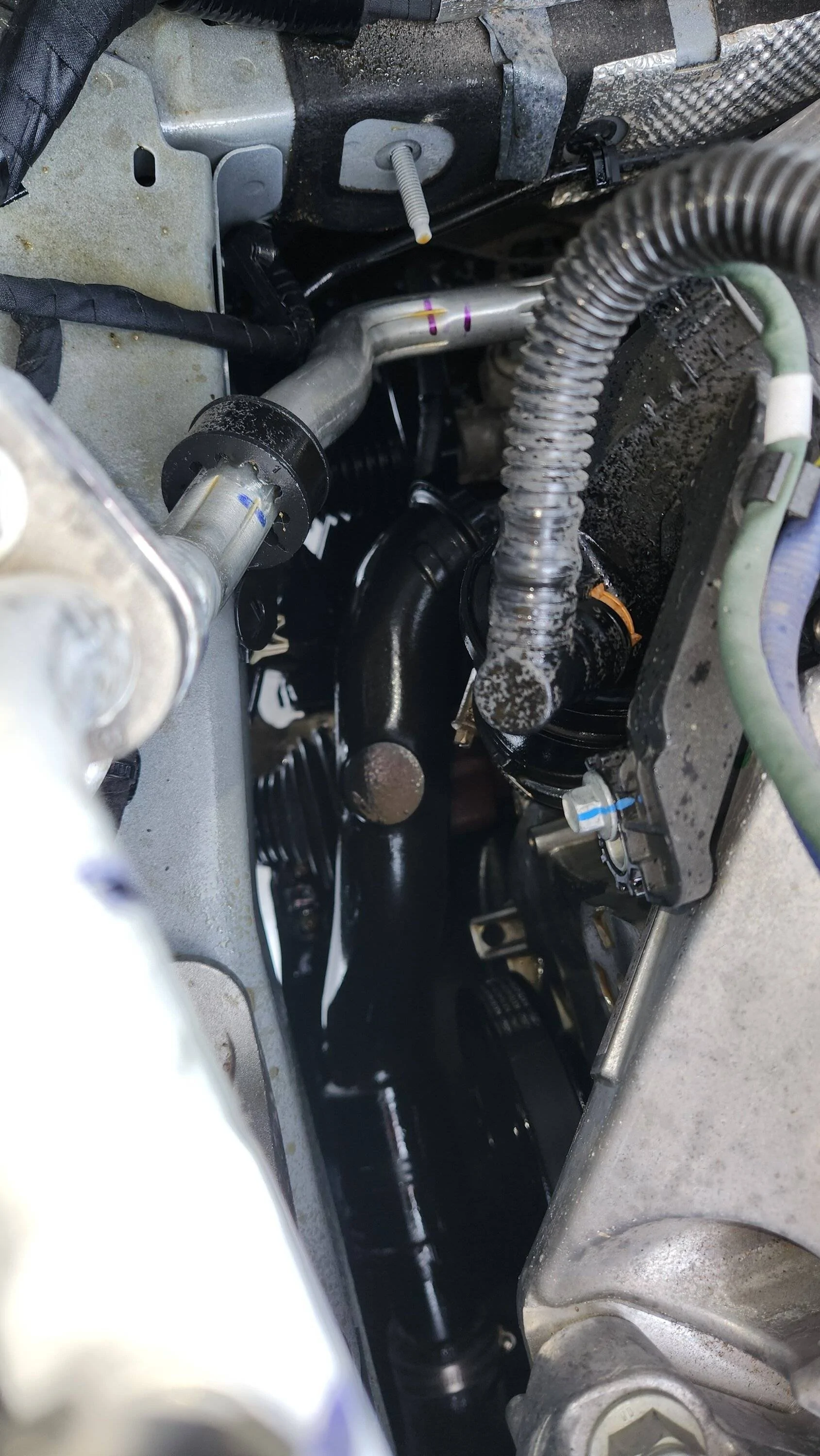 Ford Bronco Sport Crank Seal failure on a 2022 1.5L OBX 20240116_115202