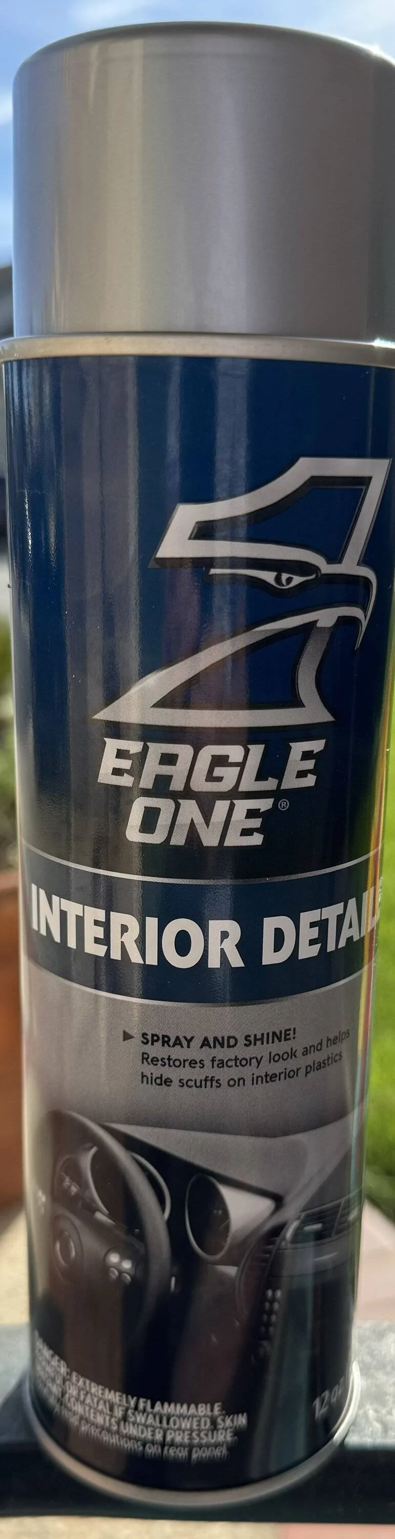 Ford Bronco Sport Removing Scuff Marks on Interior Door Panels IMG_4247