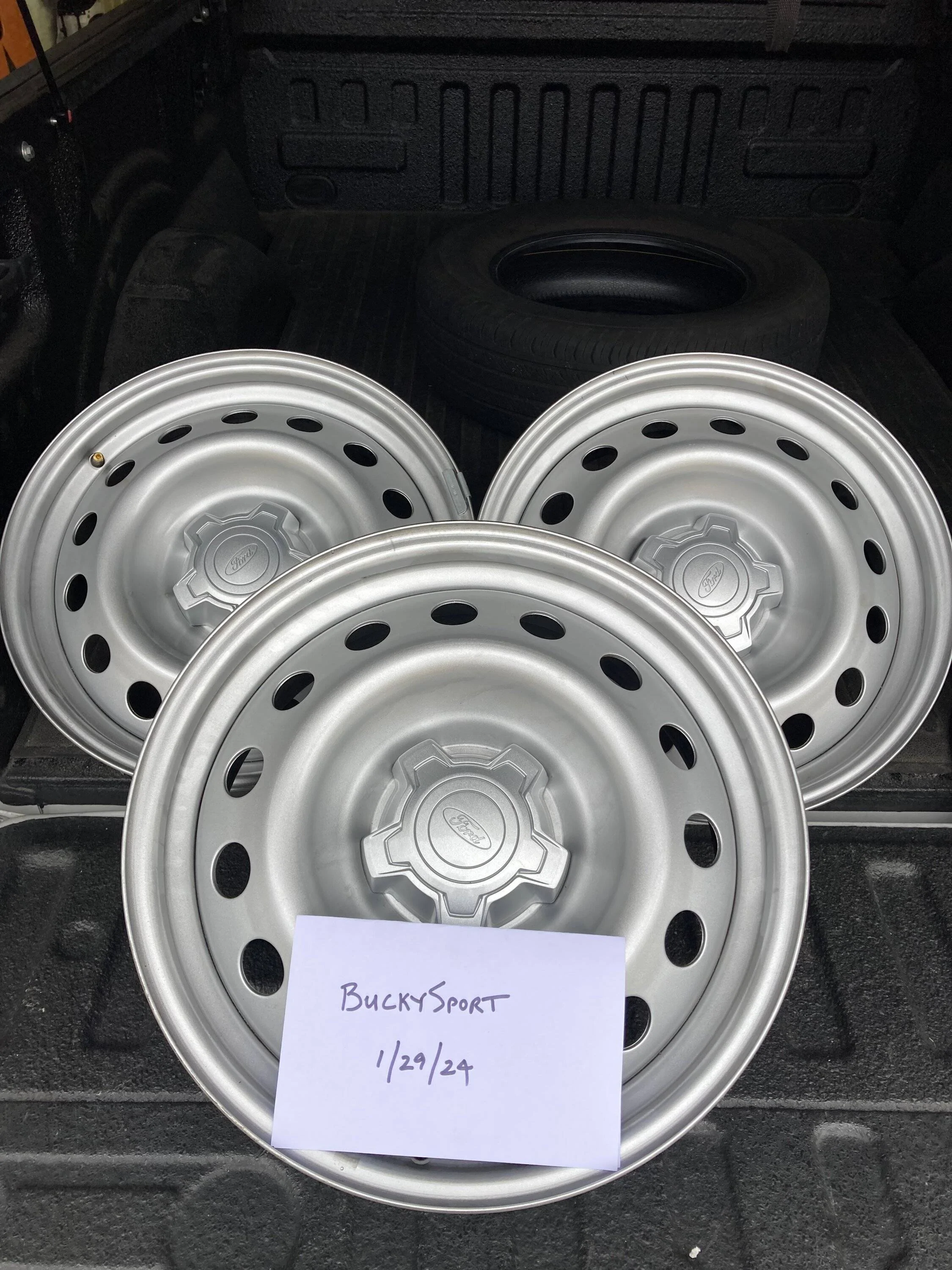 Ford Bronco Sport For Sale: Steelies IMG_2502