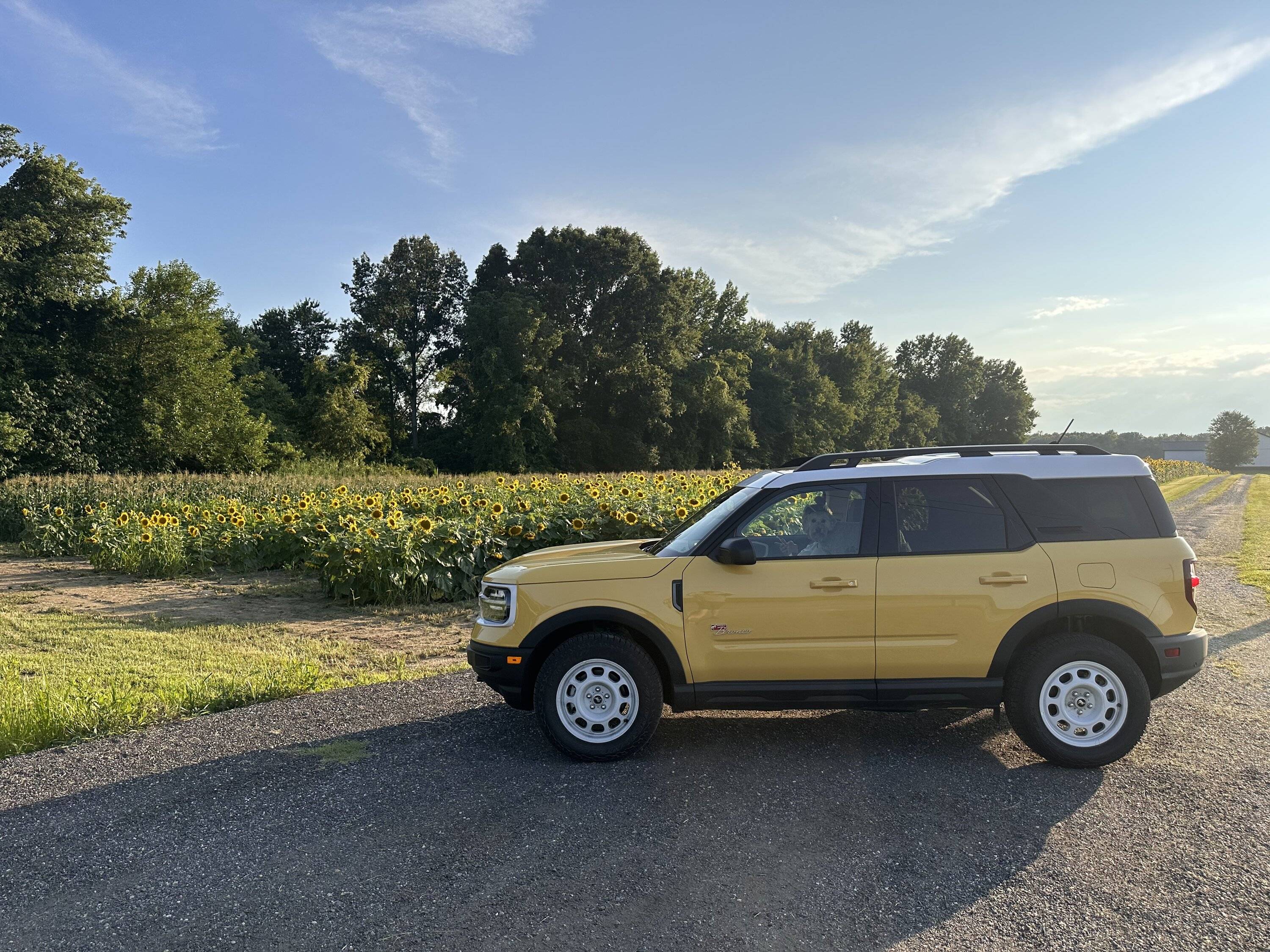 Ford Bronco Sport New Badlands IMG_2212