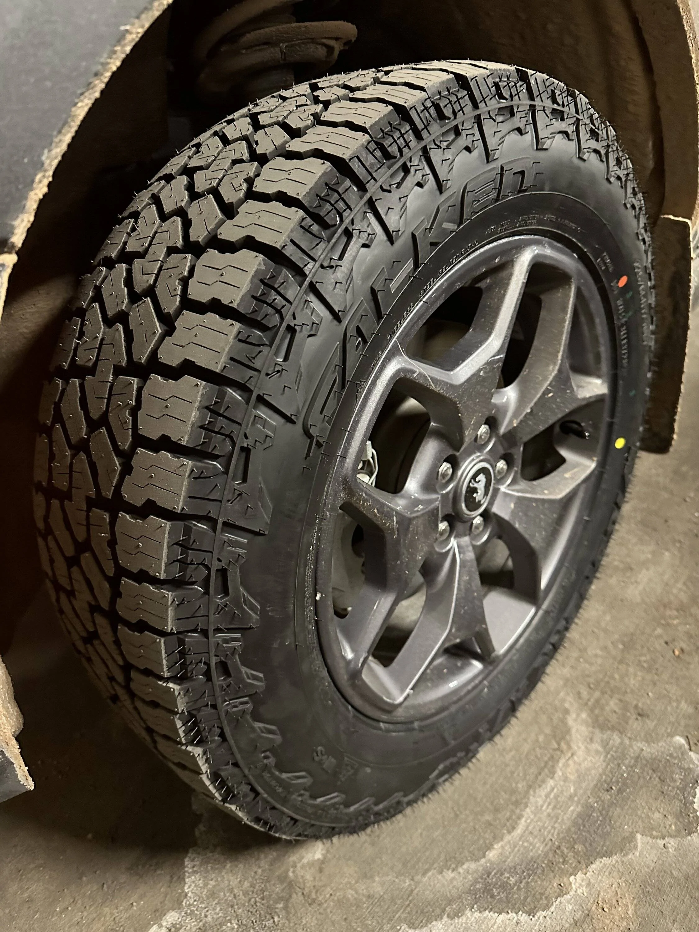 Ford Bronco Sport What did you do TO your Bronco Sport today? IMG_7161