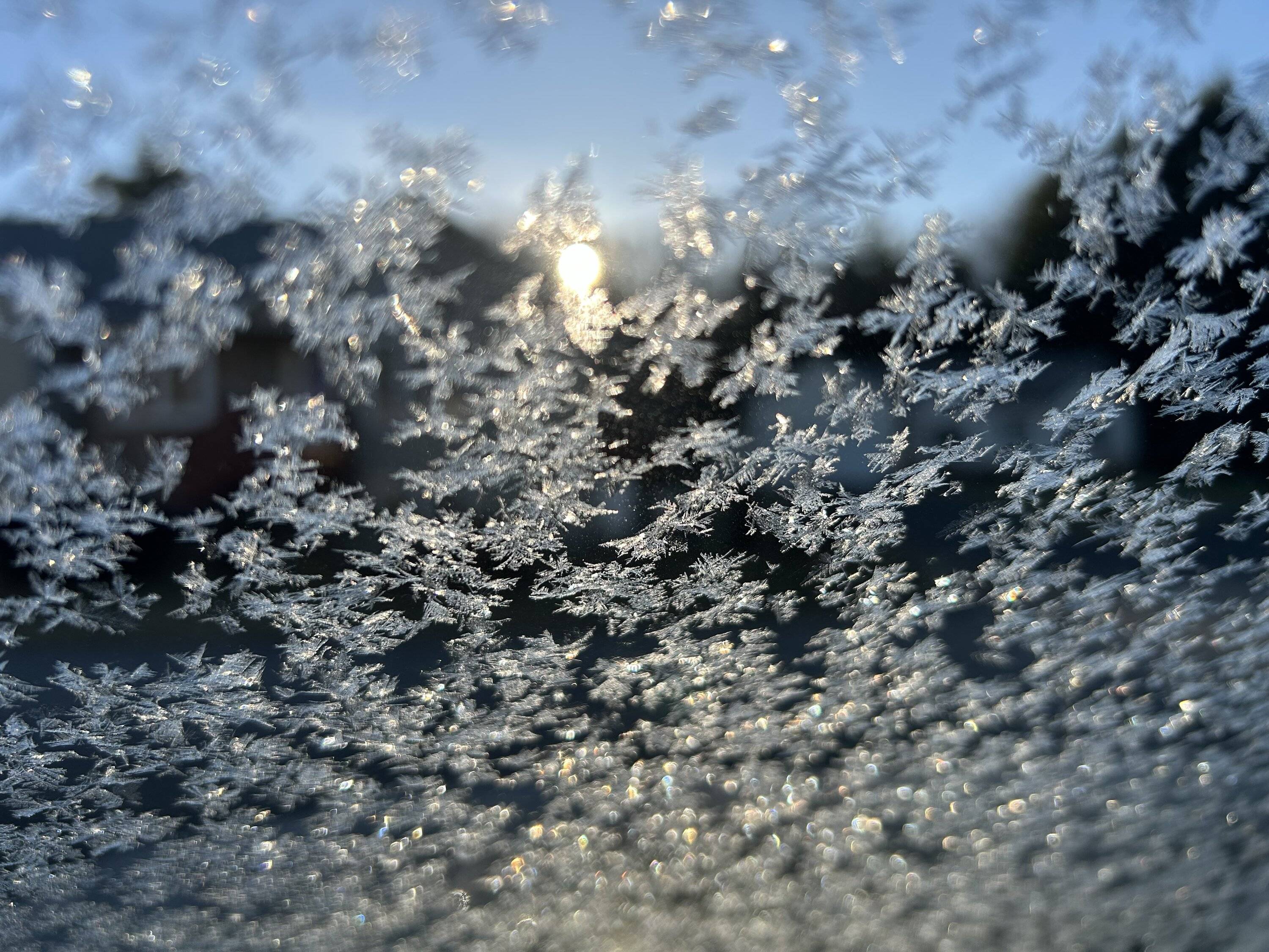 Ford Bronco Sport I want to blame Ford IMG_0781