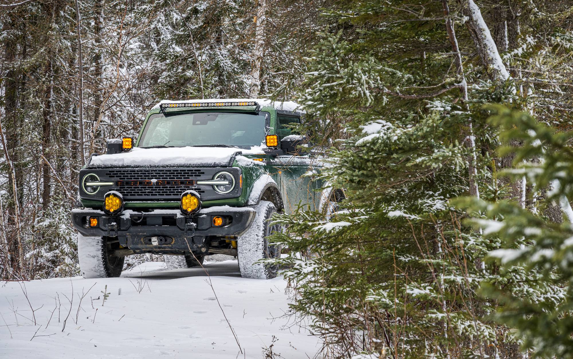Ford Bronco Sport The Boreal Jellybean December 09, 2023_2059