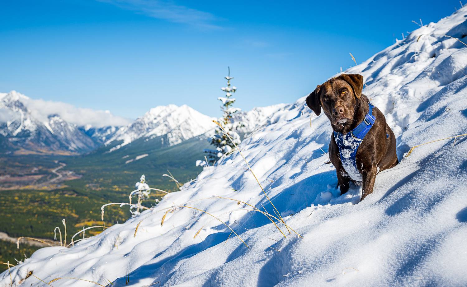 Ford Bronco Sport The Boreal Jellybean October 01, 2023_0358-LR