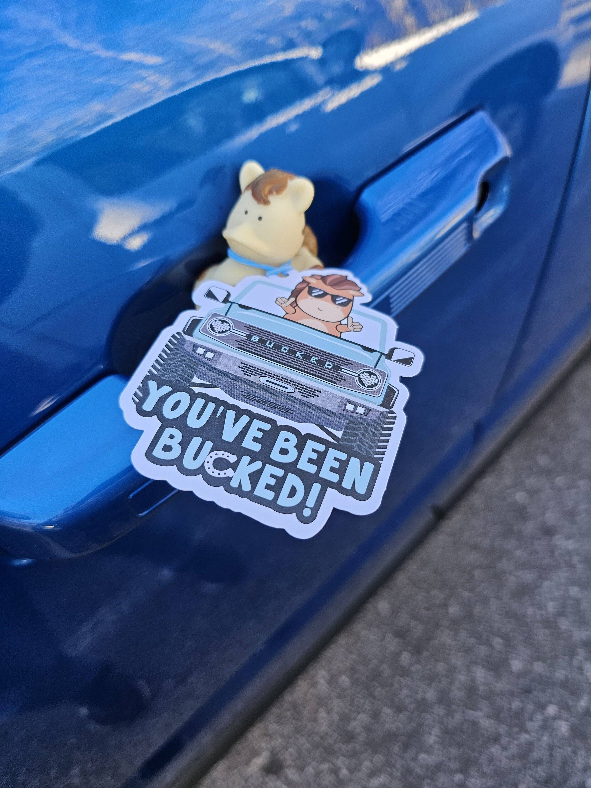 Ford Bronco Sport Jeeps use ducks; what do Bronco Sports use? 1000005790