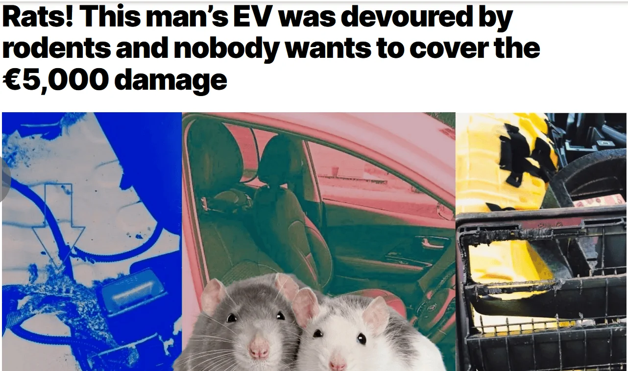 Ford Bronco Sport Is the end nigh for Ford's EVs? 1710360469133-sd