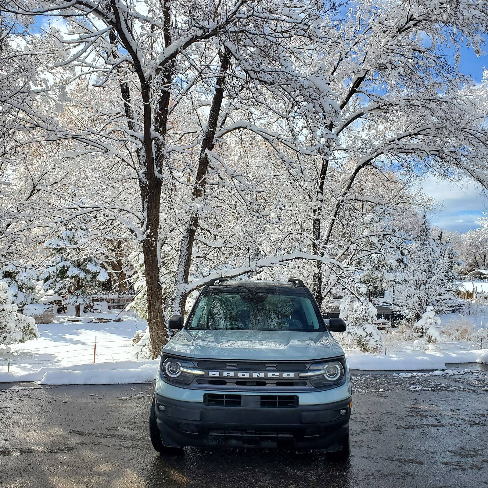 Ford Bronco Sport Cactus Grey is not cactus grey.... 20240326_092838