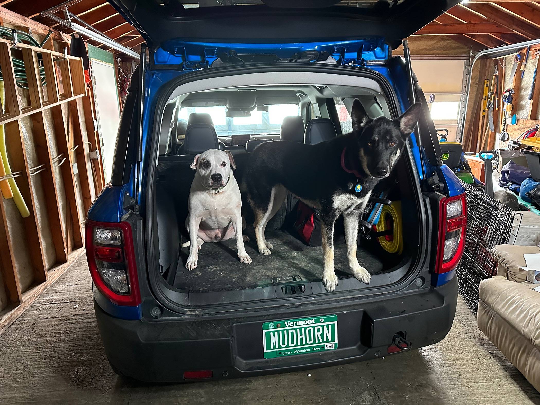 Ford Bronco Sport What did you Name your Bronco Sport? IMG_9420