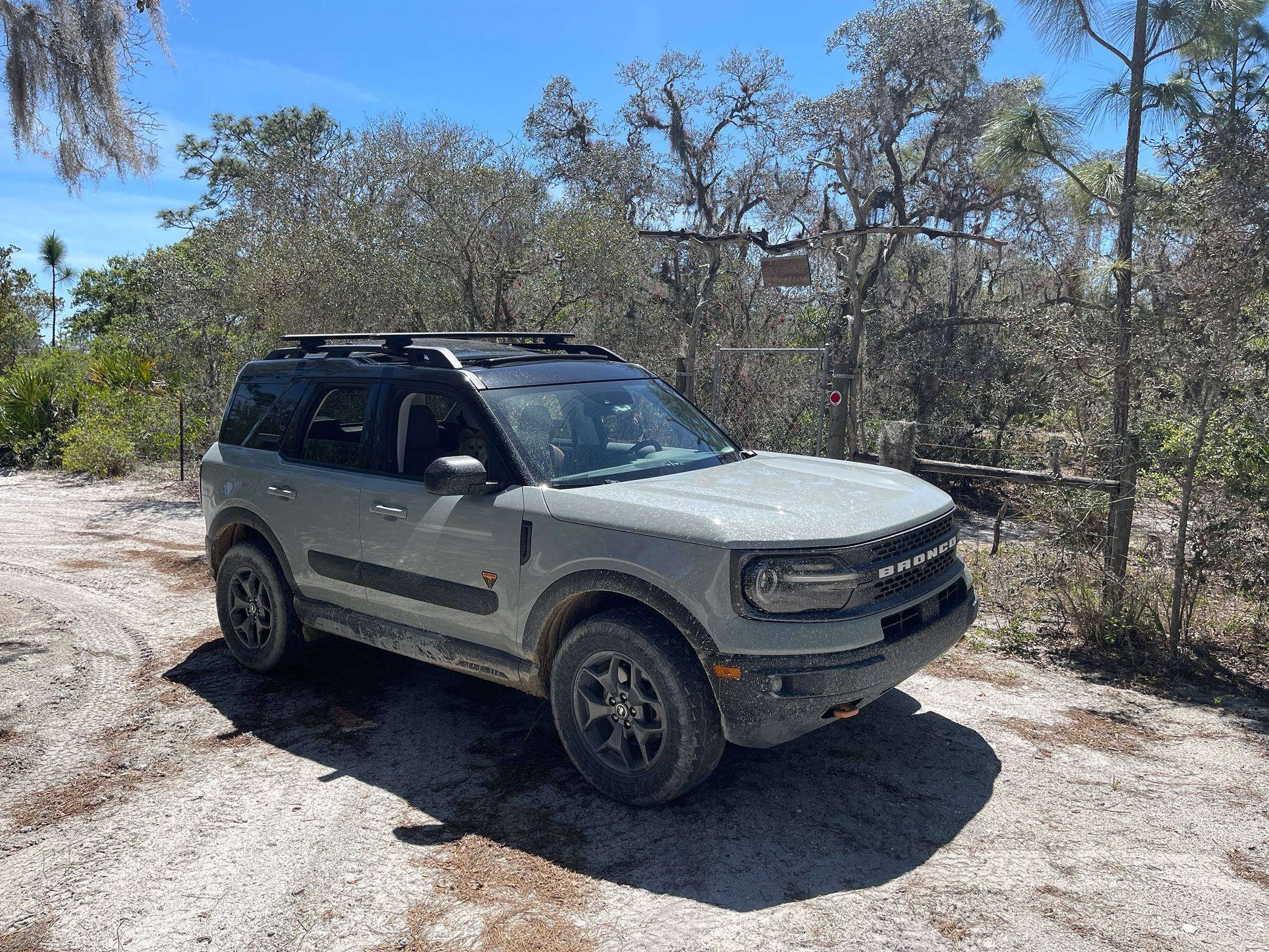 Ford Bronco Sport What did you do TO your Bronco Sport today? IMG_3070