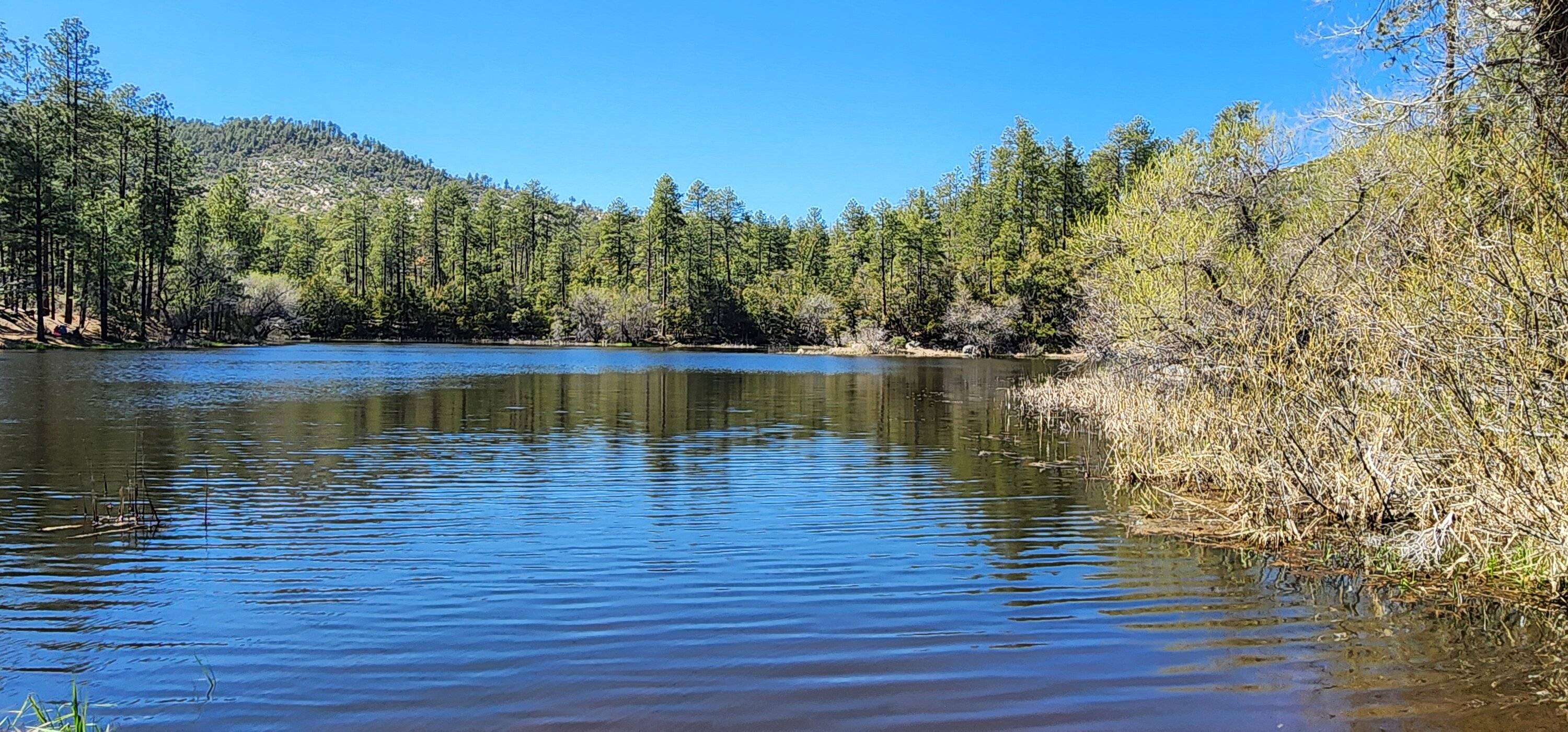 Ford Bronco Sport Crown King Trail to Horsethief Basin Lake in Arizona 20240413_141757