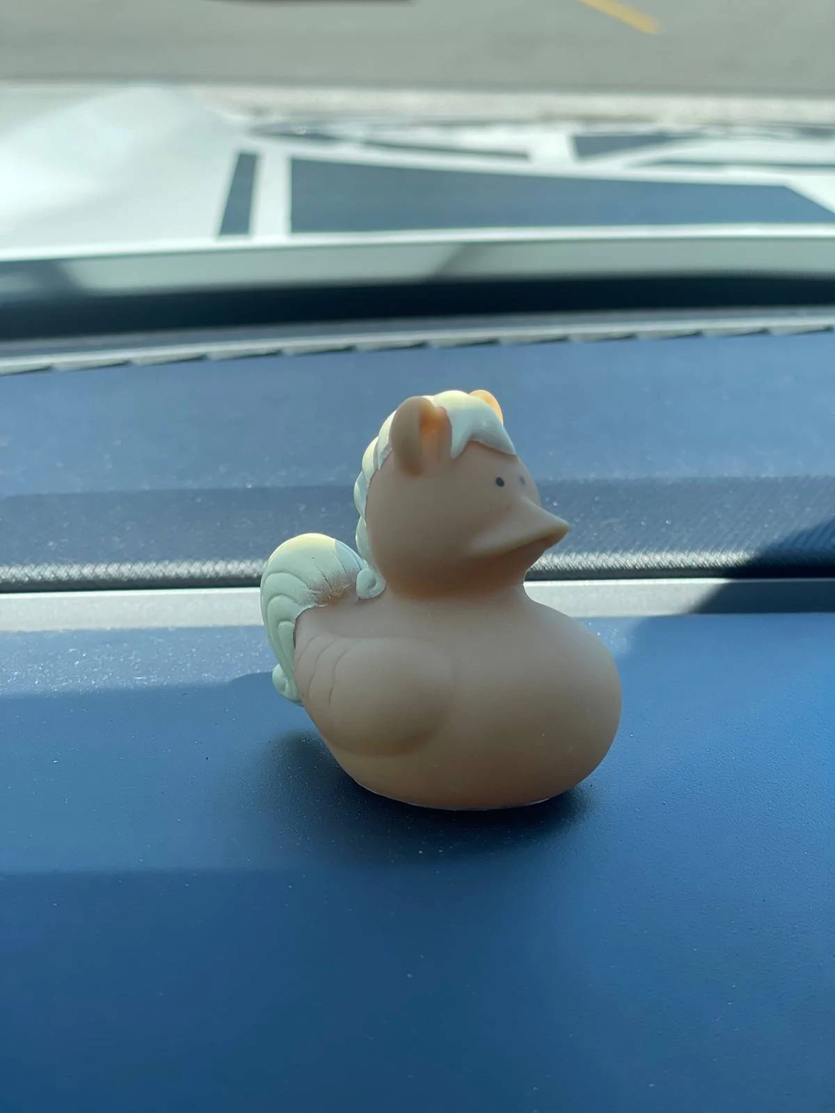 Ford Bronco Sport Jeeps use ducks; what do Bronco Sports use? IMG_9394