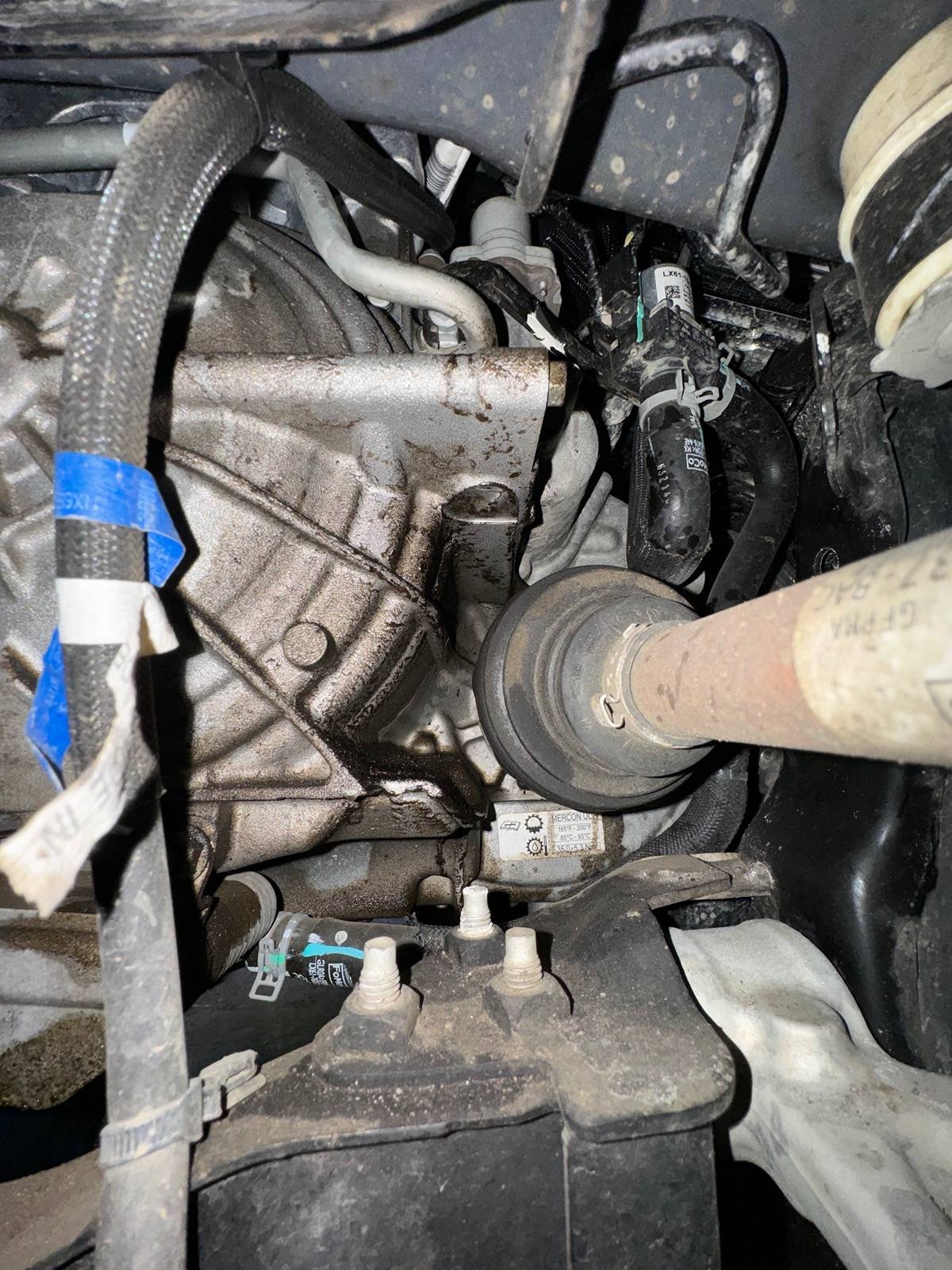 Ford Bronco Sport Mild Off-Road - Now I Smell Oil/Grease IMG_5115