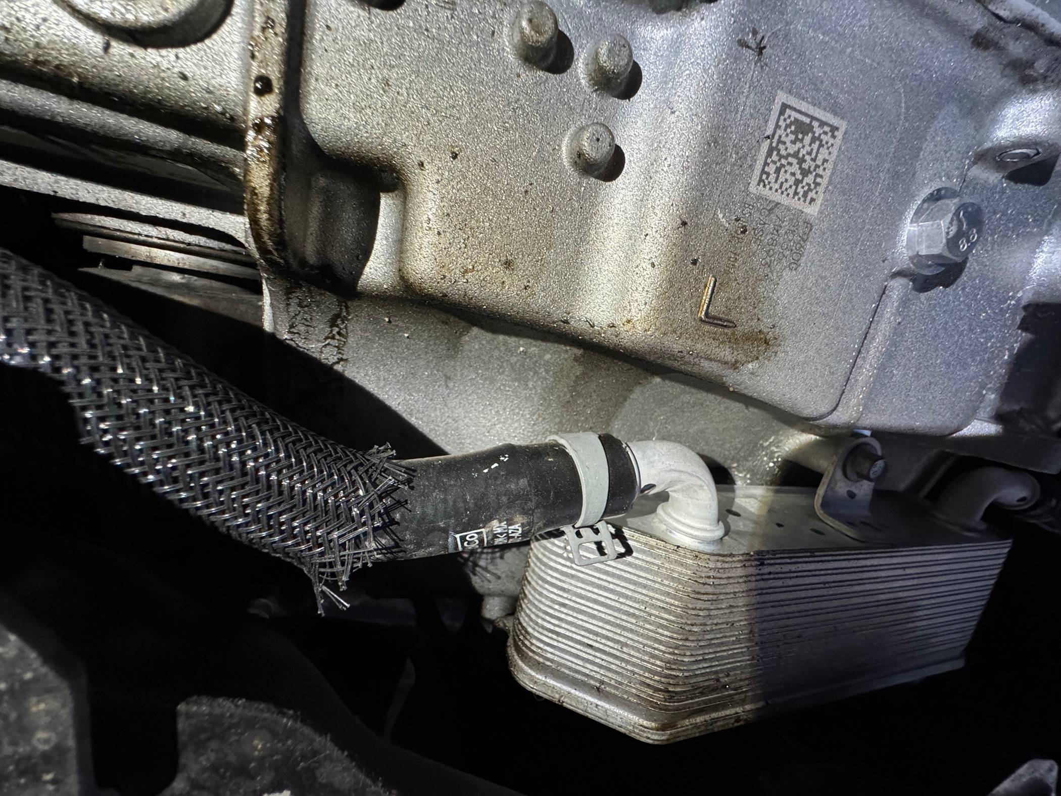 Ford Bronco Sport Mild Off-Road - Now I Smell Oil/Grease IMG_5110